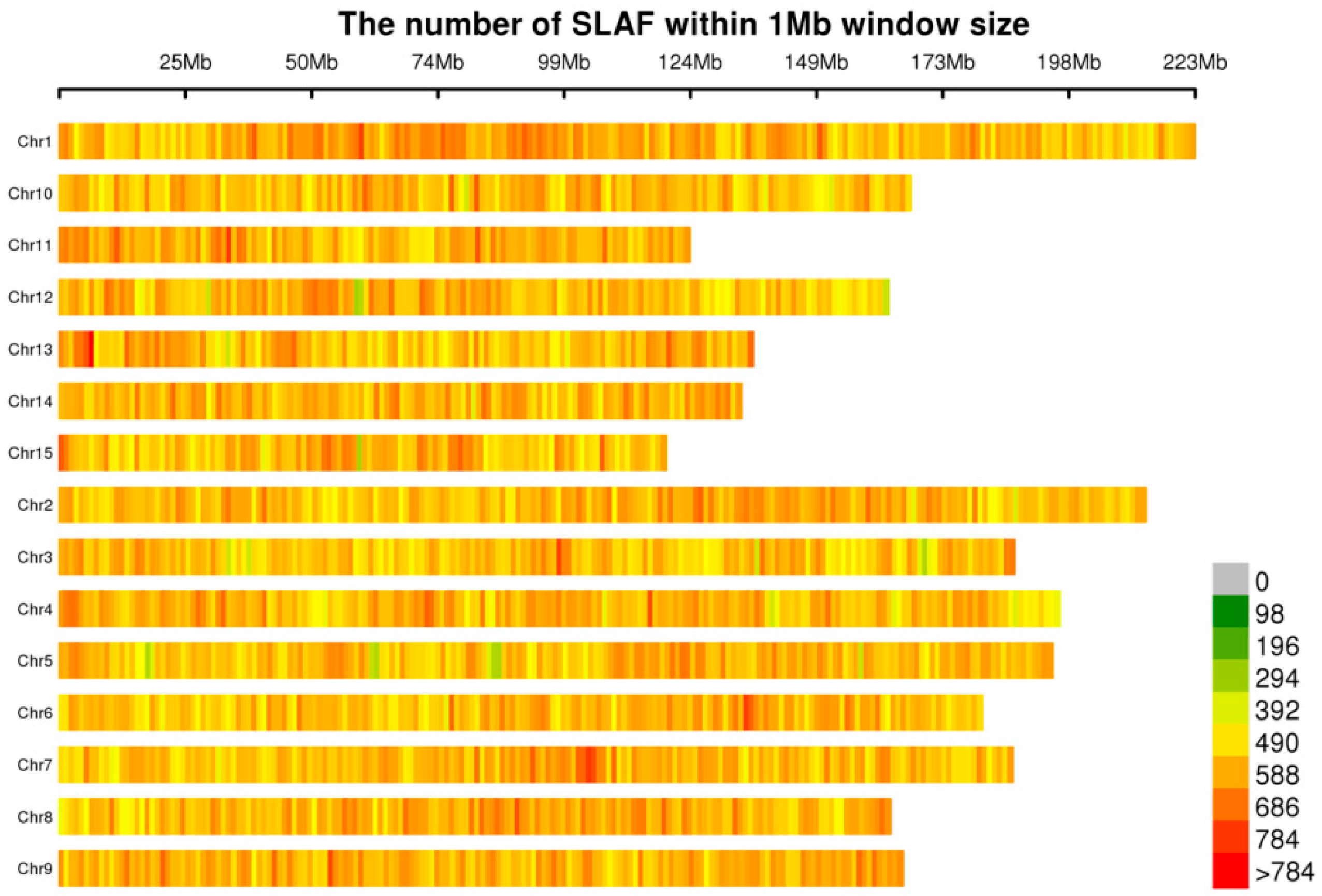 Horticulturae 11 00529 g001