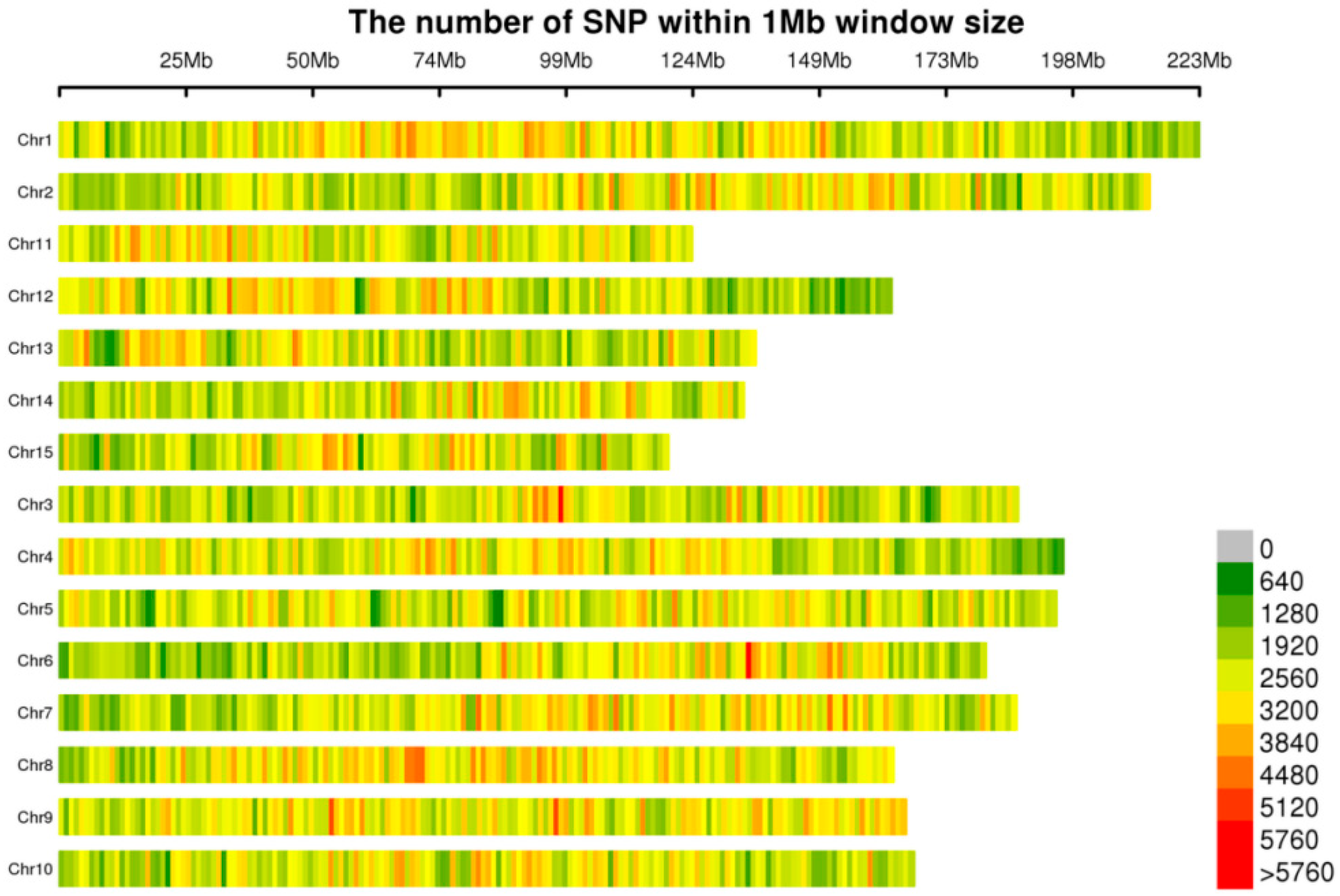 Horticulturae 11 00529 g002