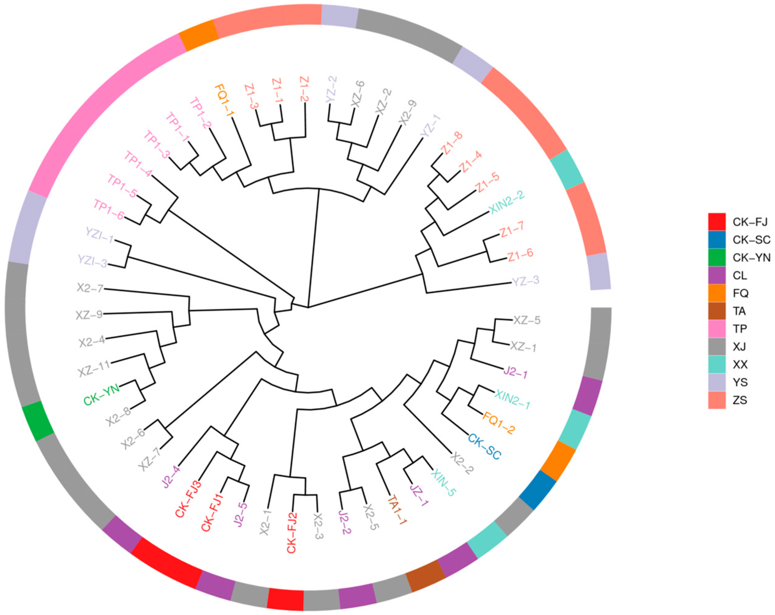 Horticulturae 11 00529 g003