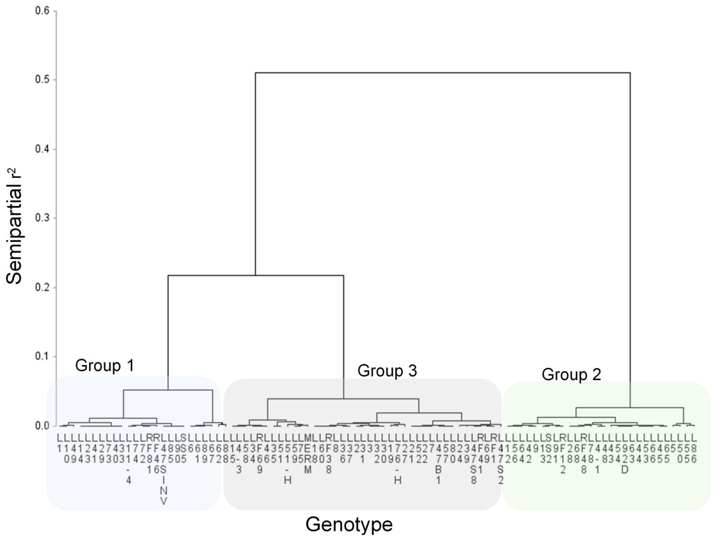 Horticulturae 11 00532 g002