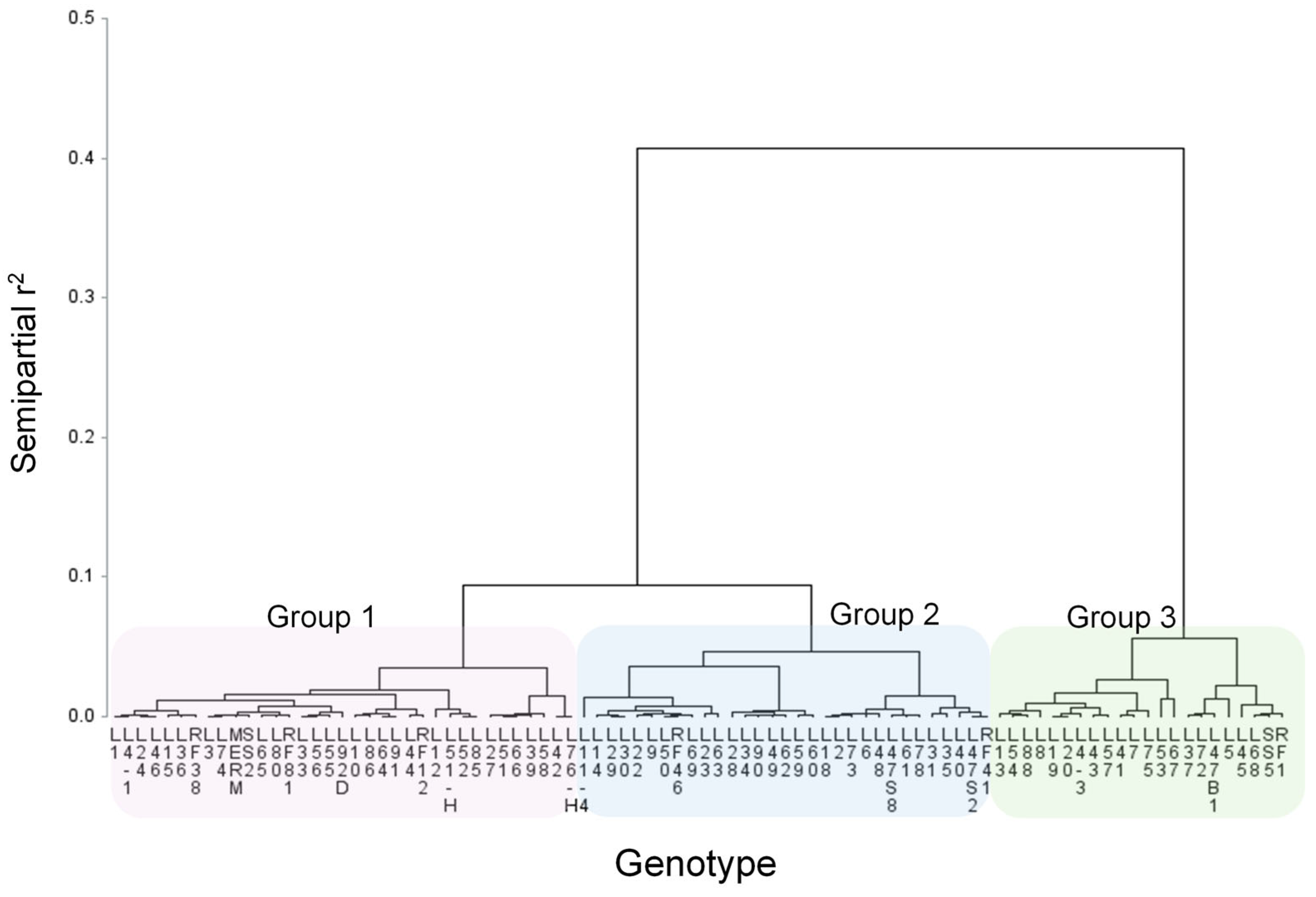 Horticulturae 11 00532 g005