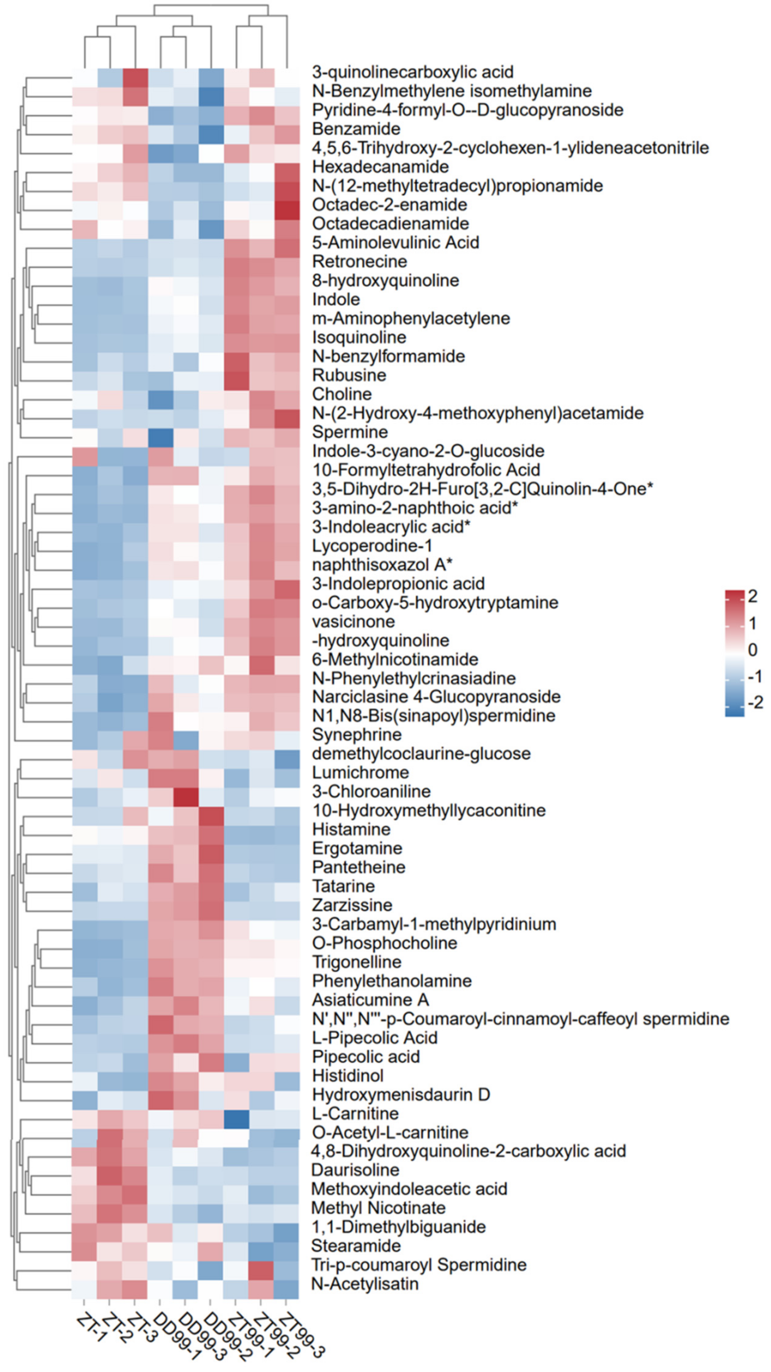 Horticulturae 11 00533 g001