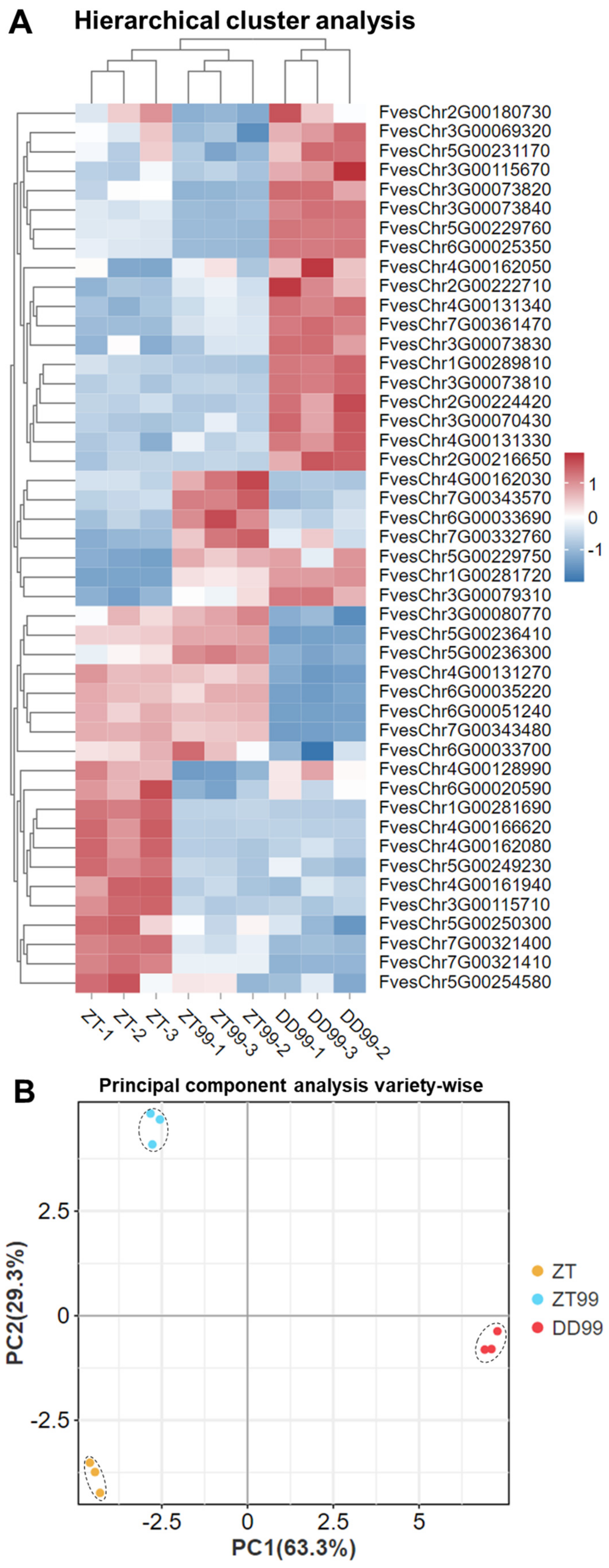 Horticulturae 11 00533 g004a