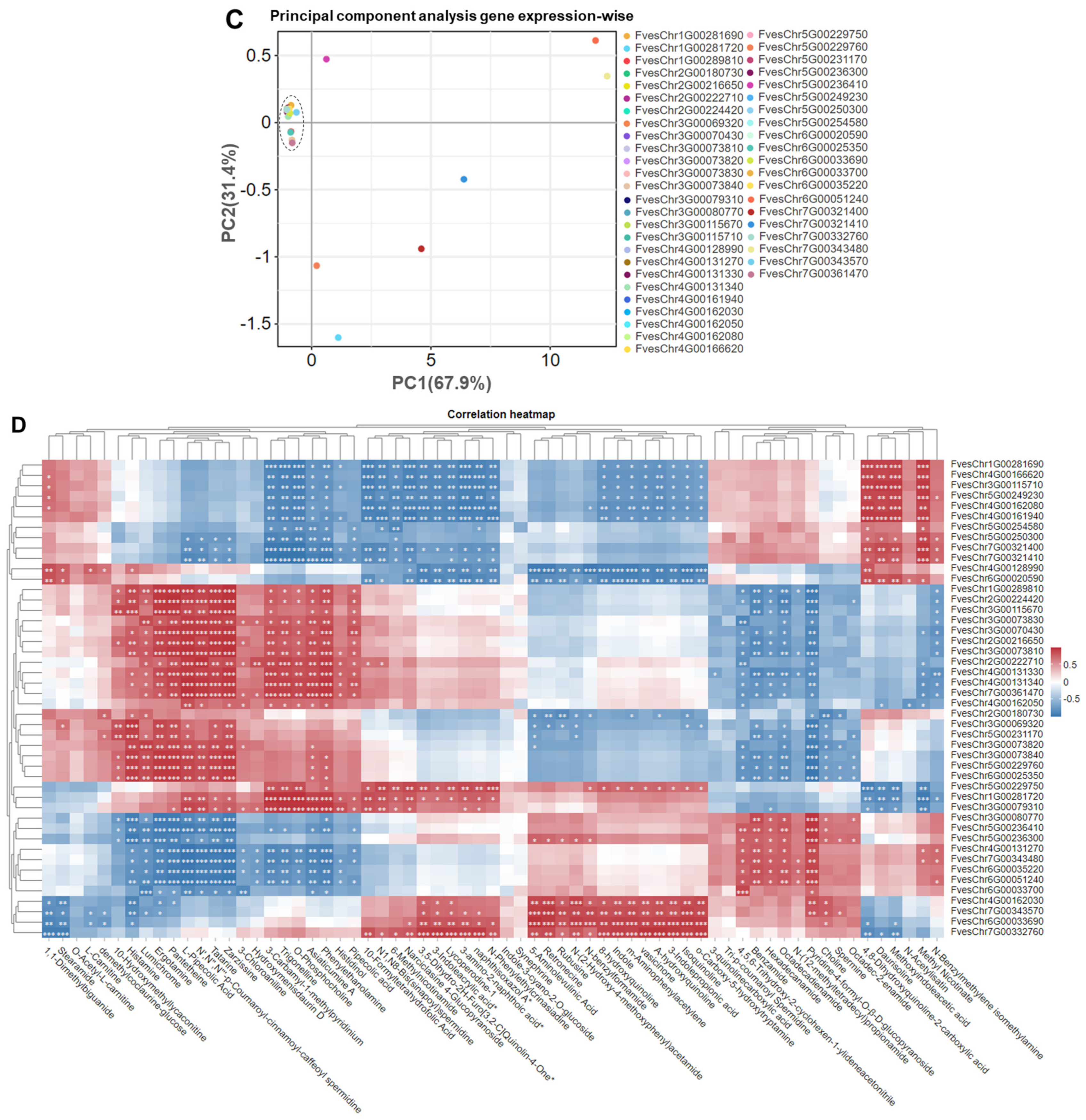 Horticulturae 11 00533 g004b