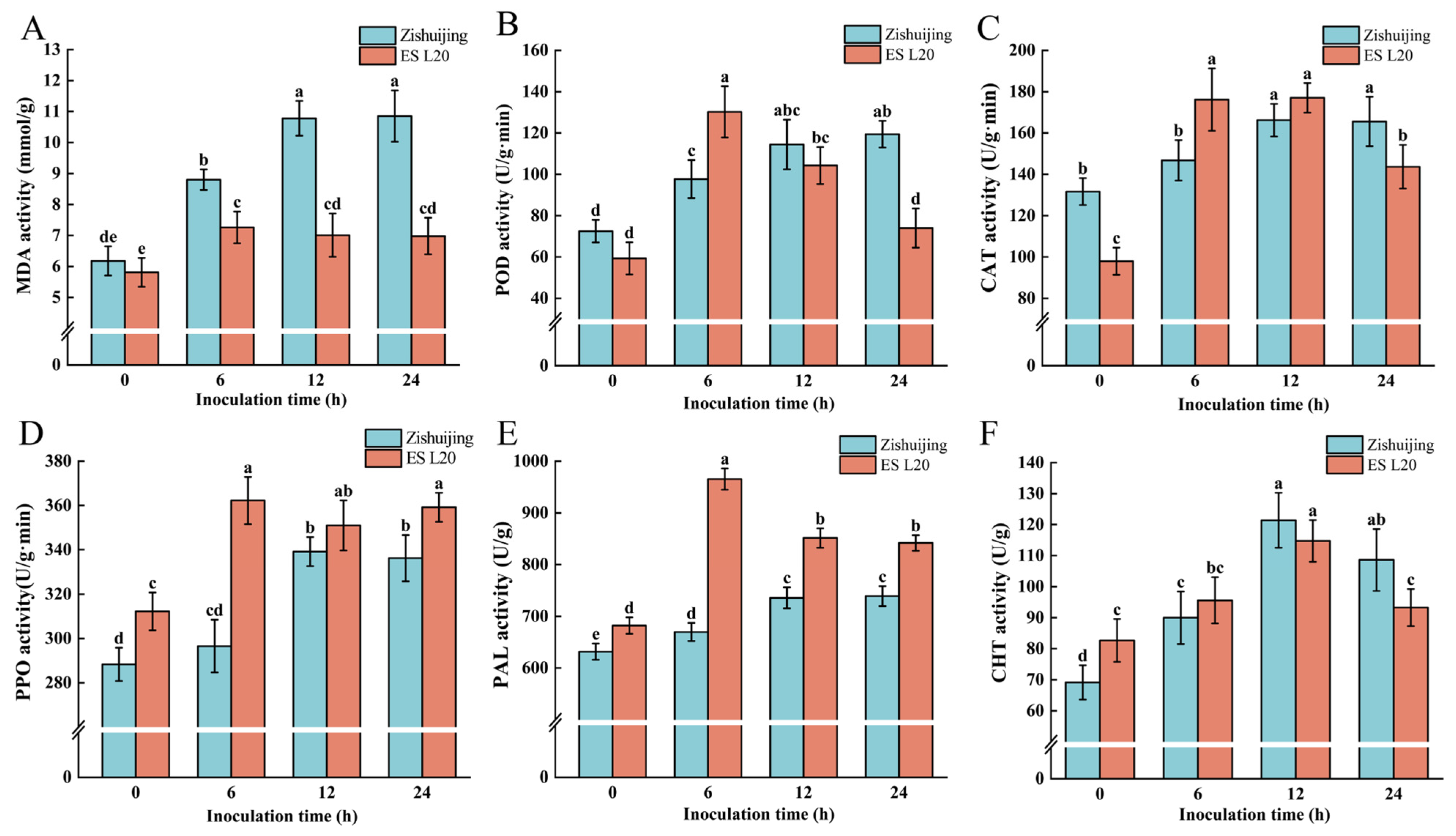 Horticulturae 11 00534 g002