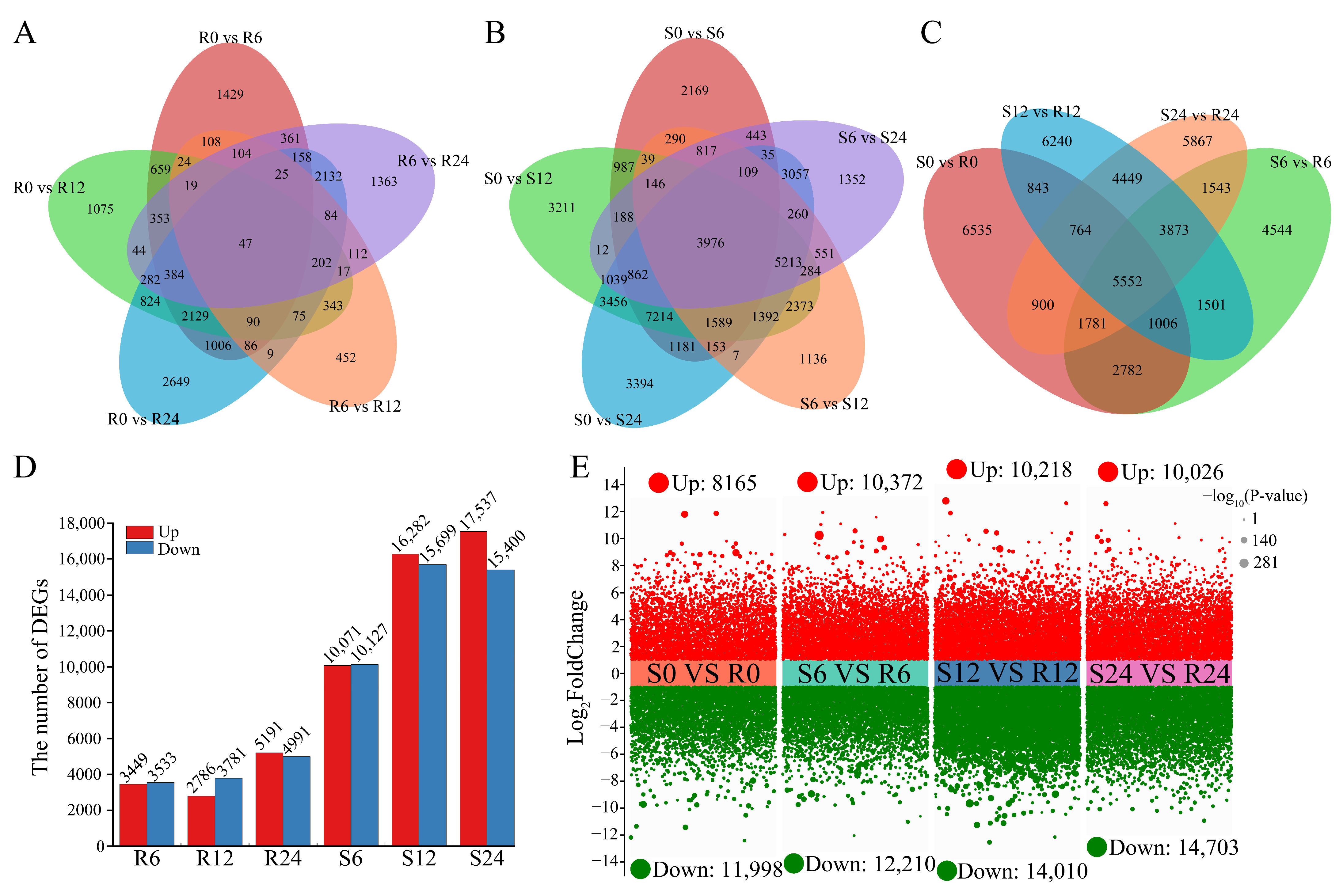 Horticulturae 11 00534 g004