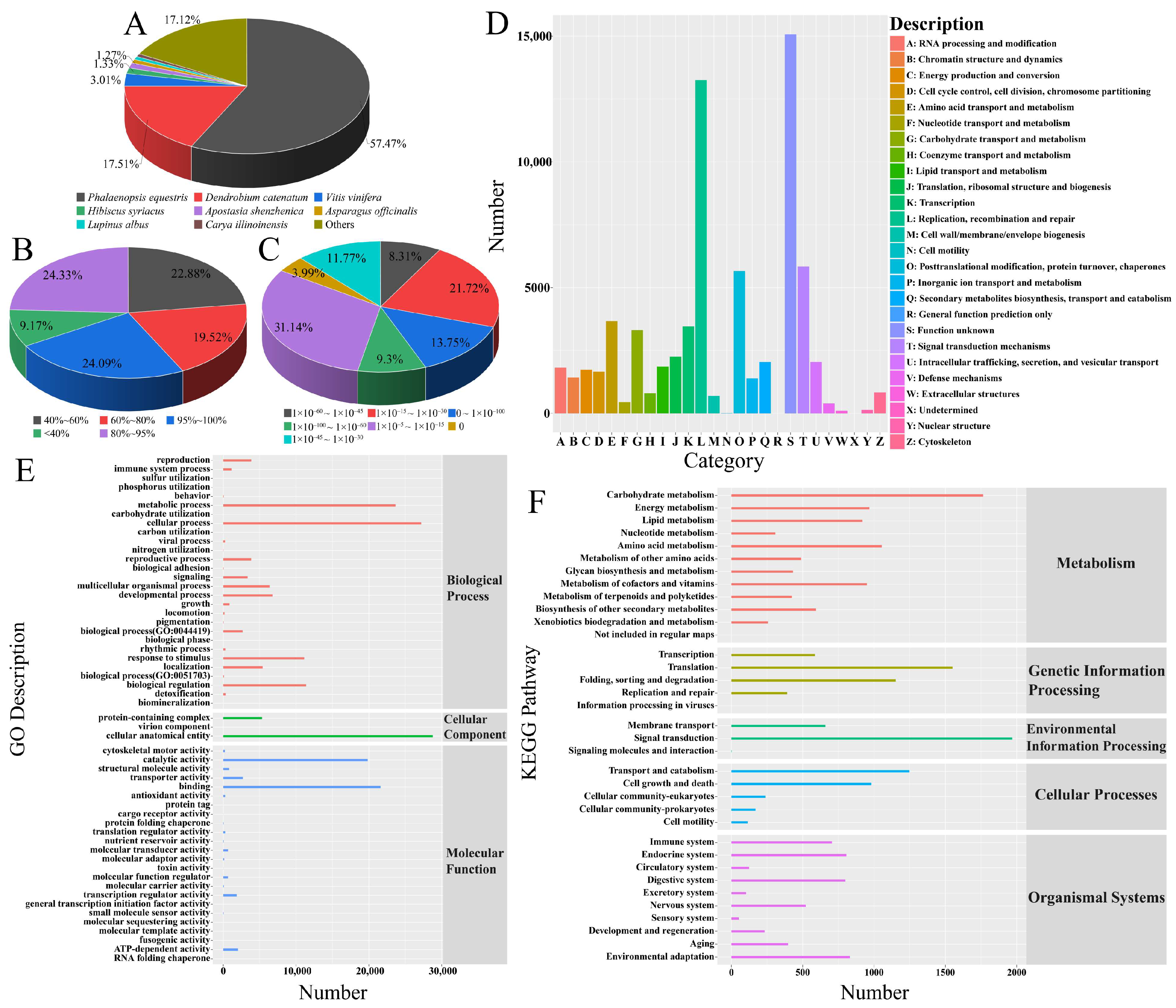 Horticulturae 11 00534 g005