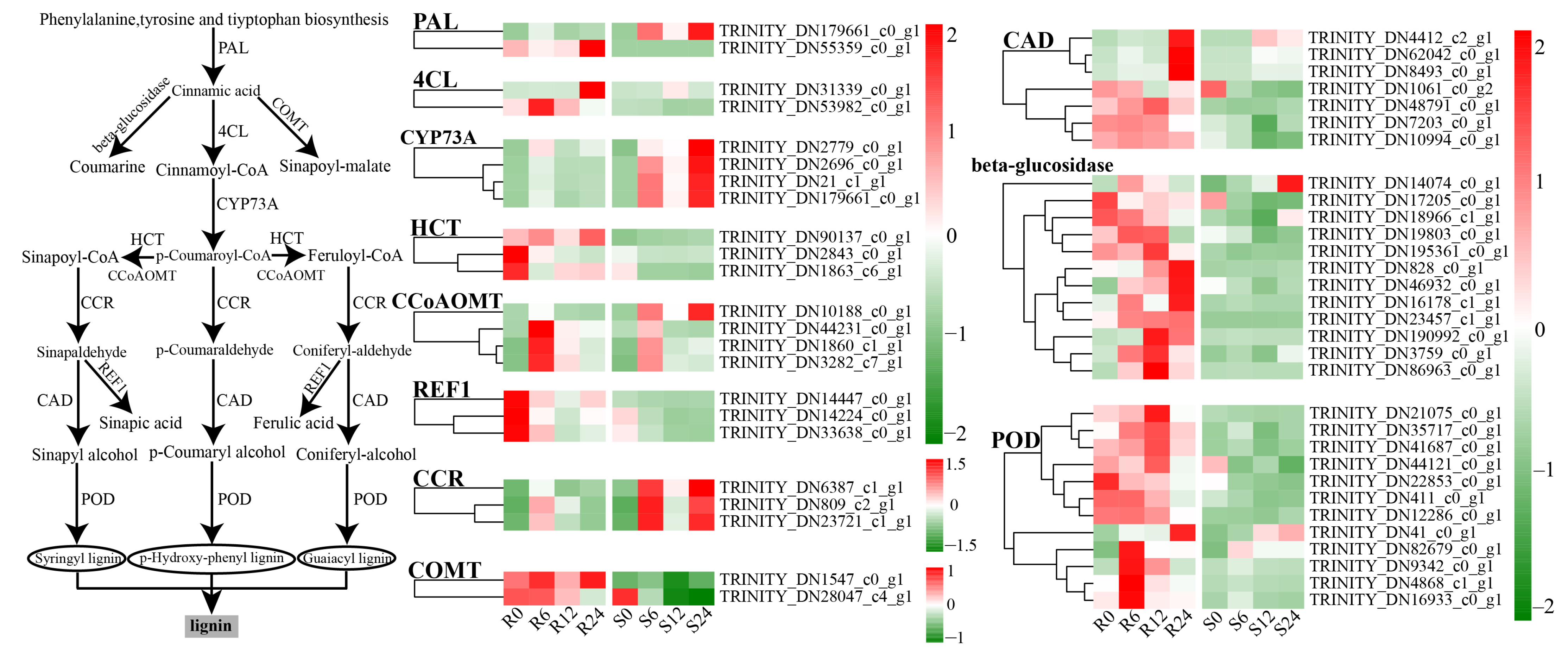 Horticulturae 11 00534 g009