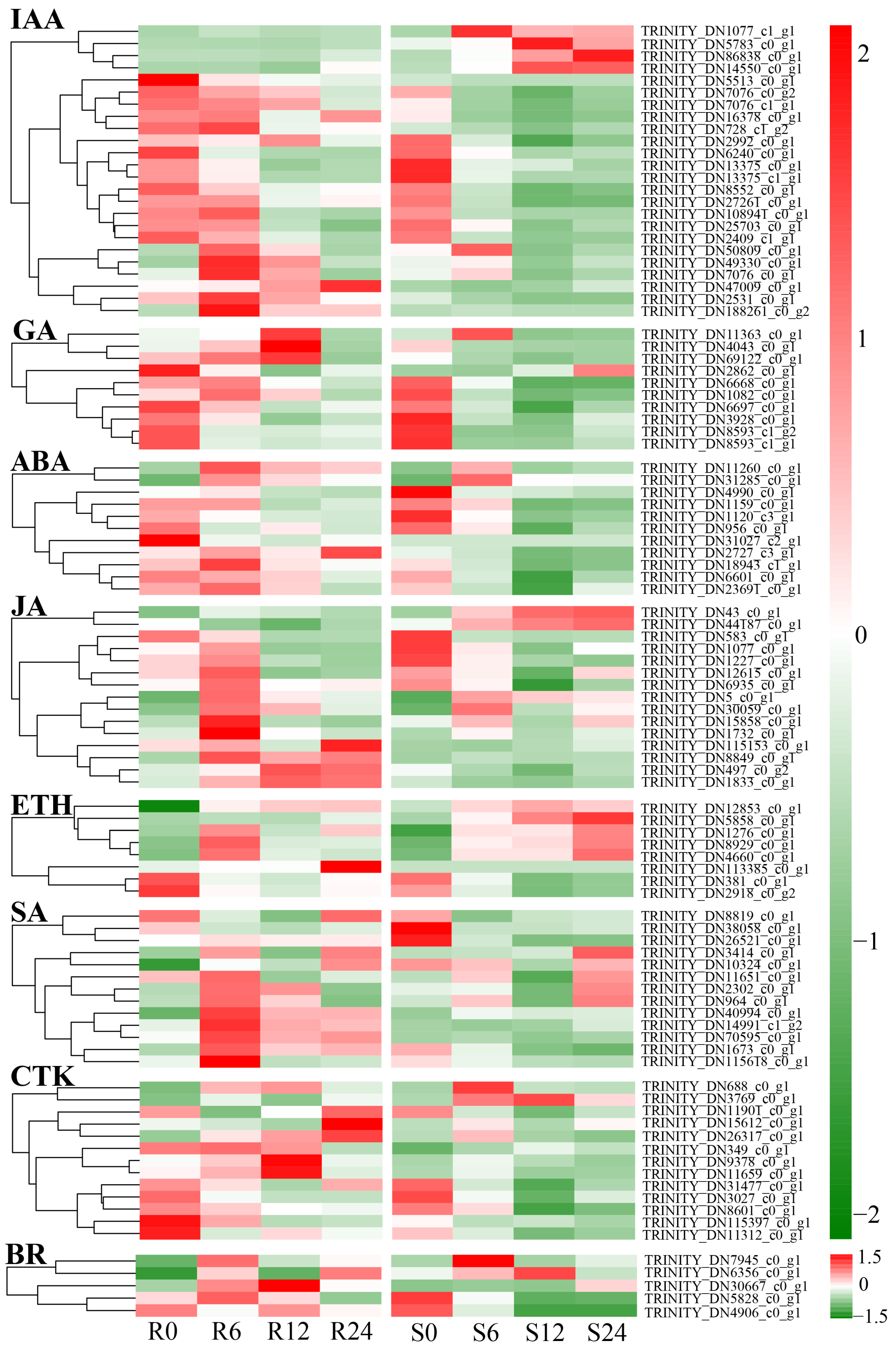 Horticulturae 11 00534 g010