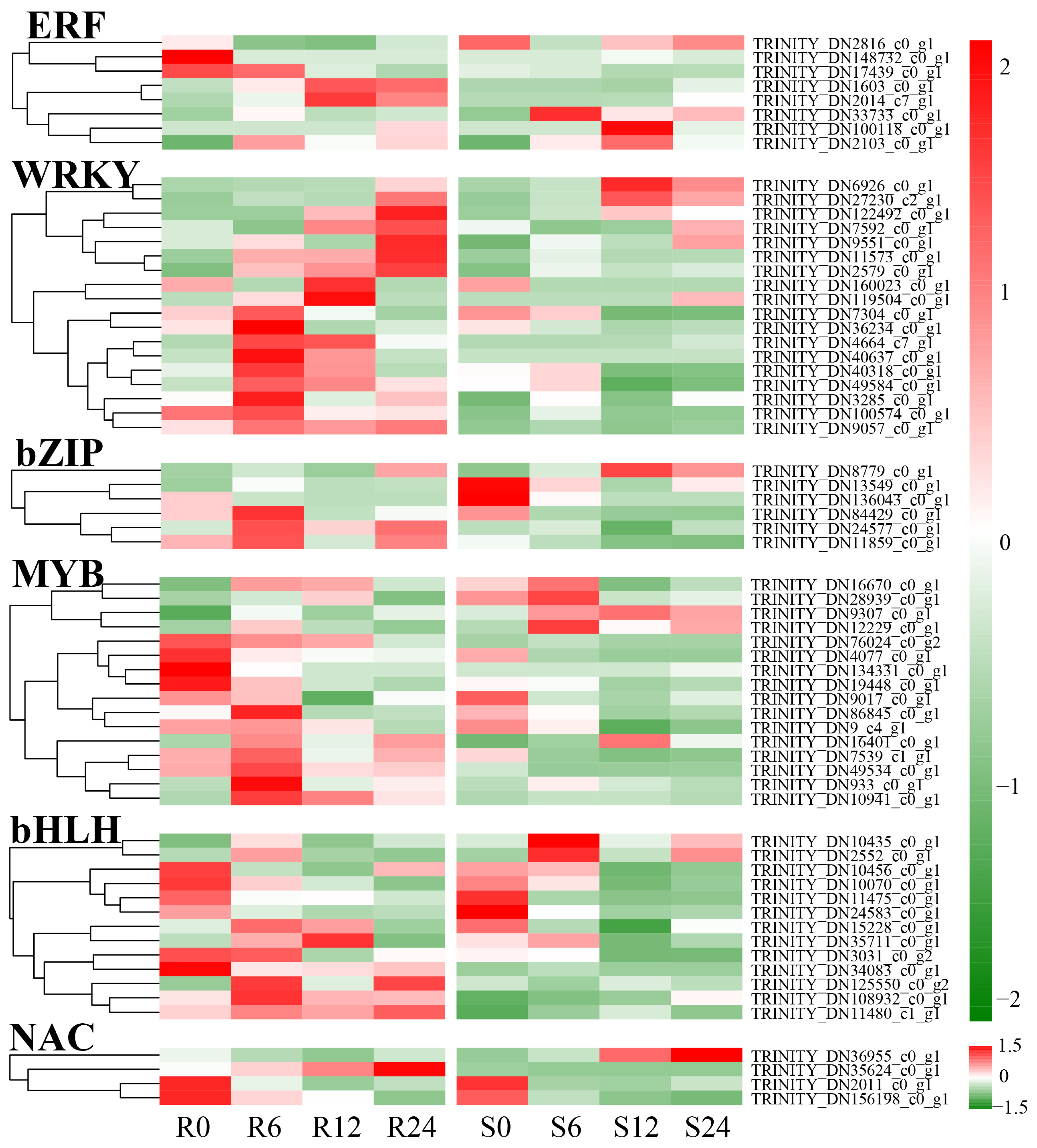 Horticulturae 11 00534 g011