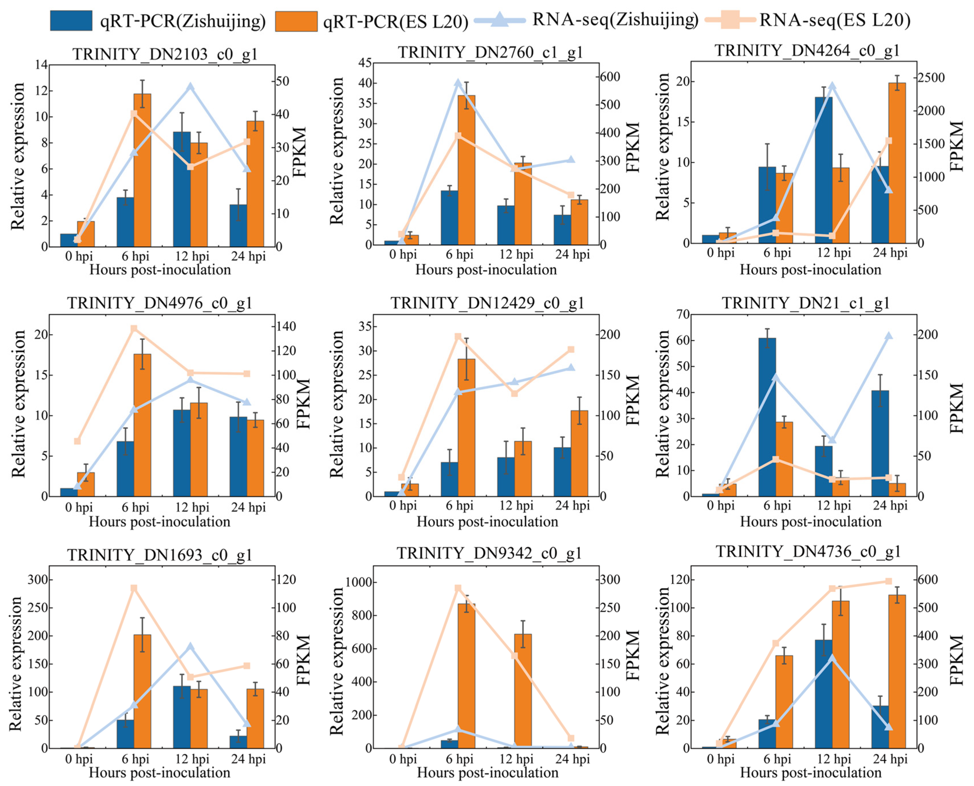 Horticulturae 11 00534 g012