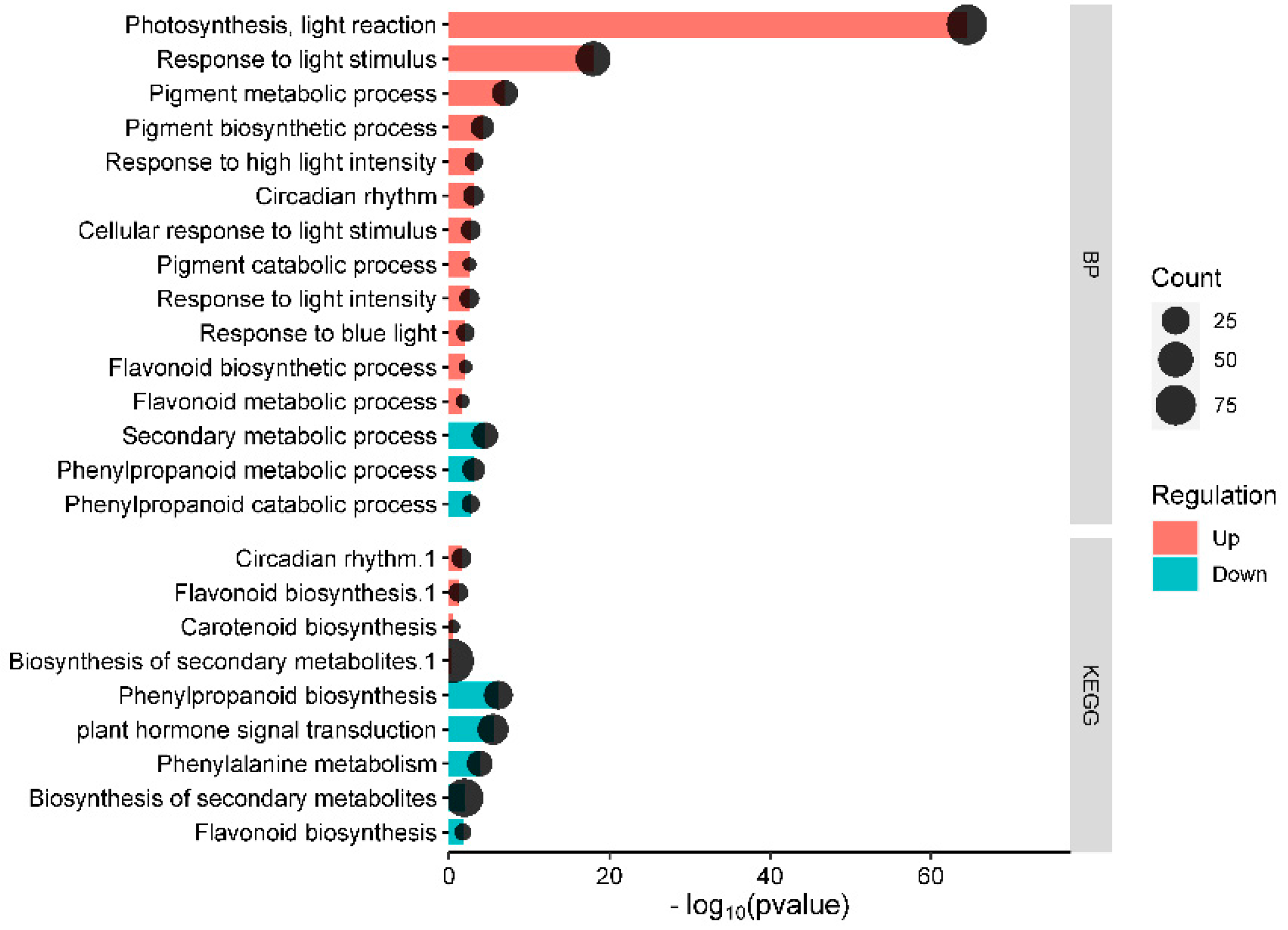 Horticulturae 11 00535 g003