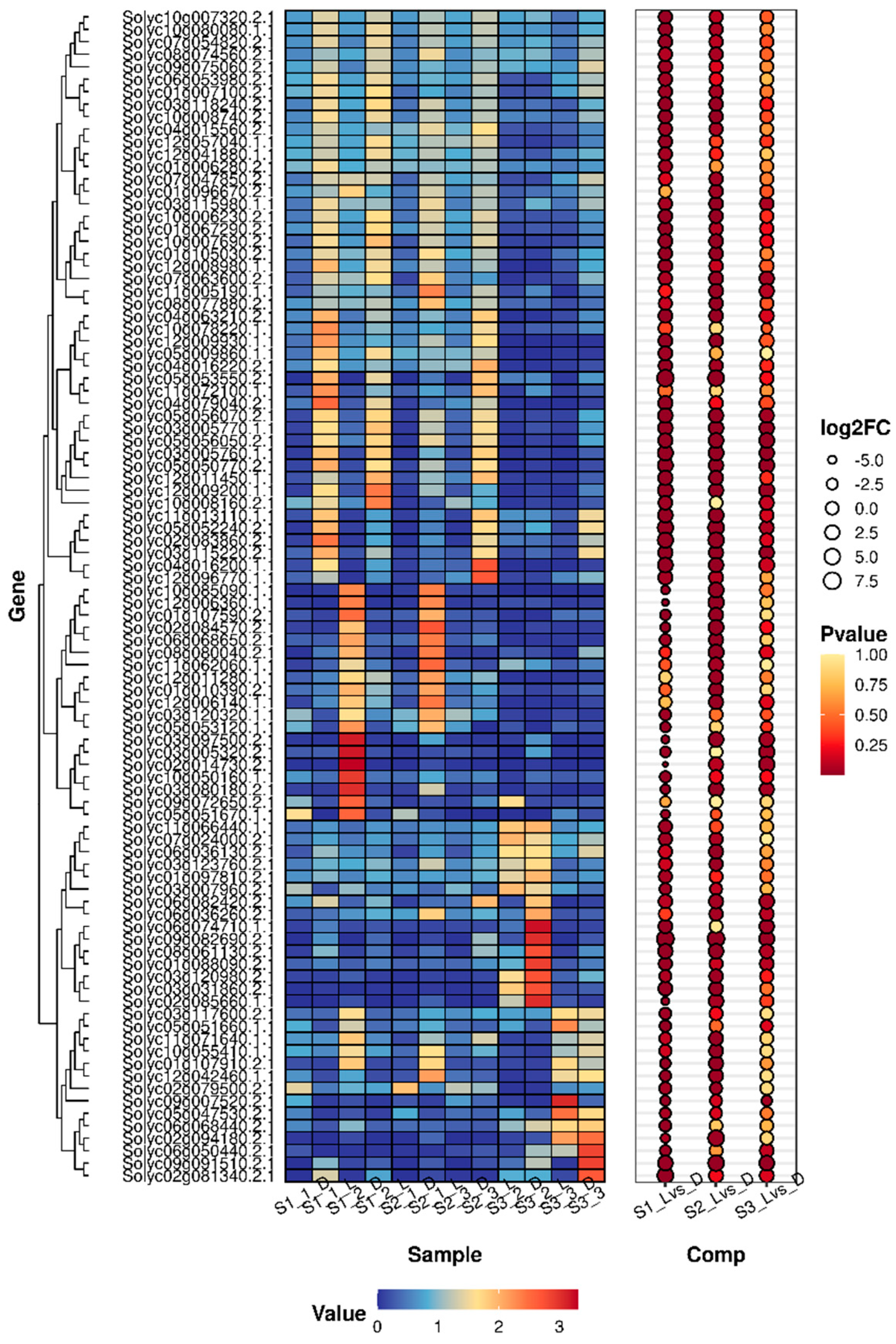 Horticulturae 11 00535 g005
