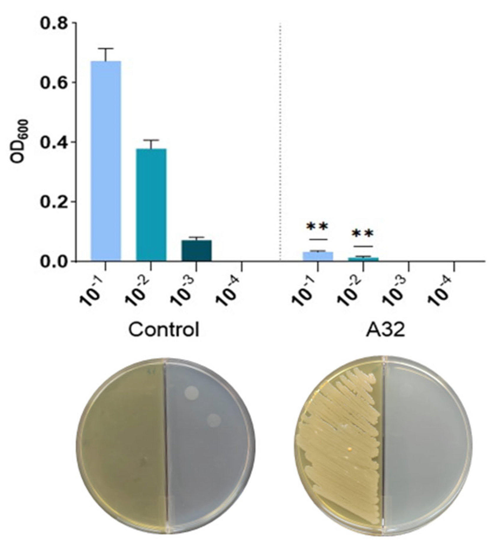 Horticulturae 11 00536 g001