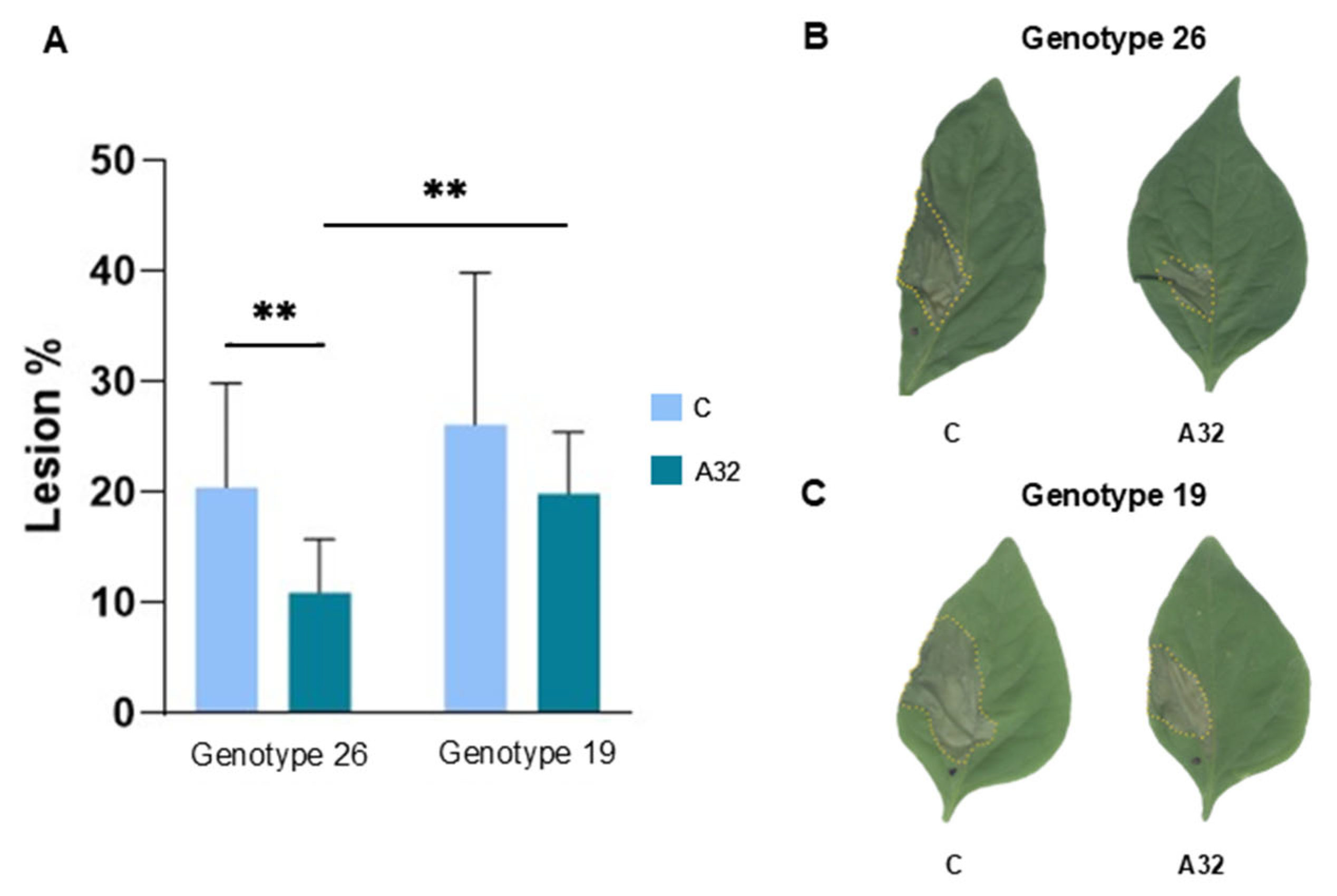 Horticulturae 11 00536 g002