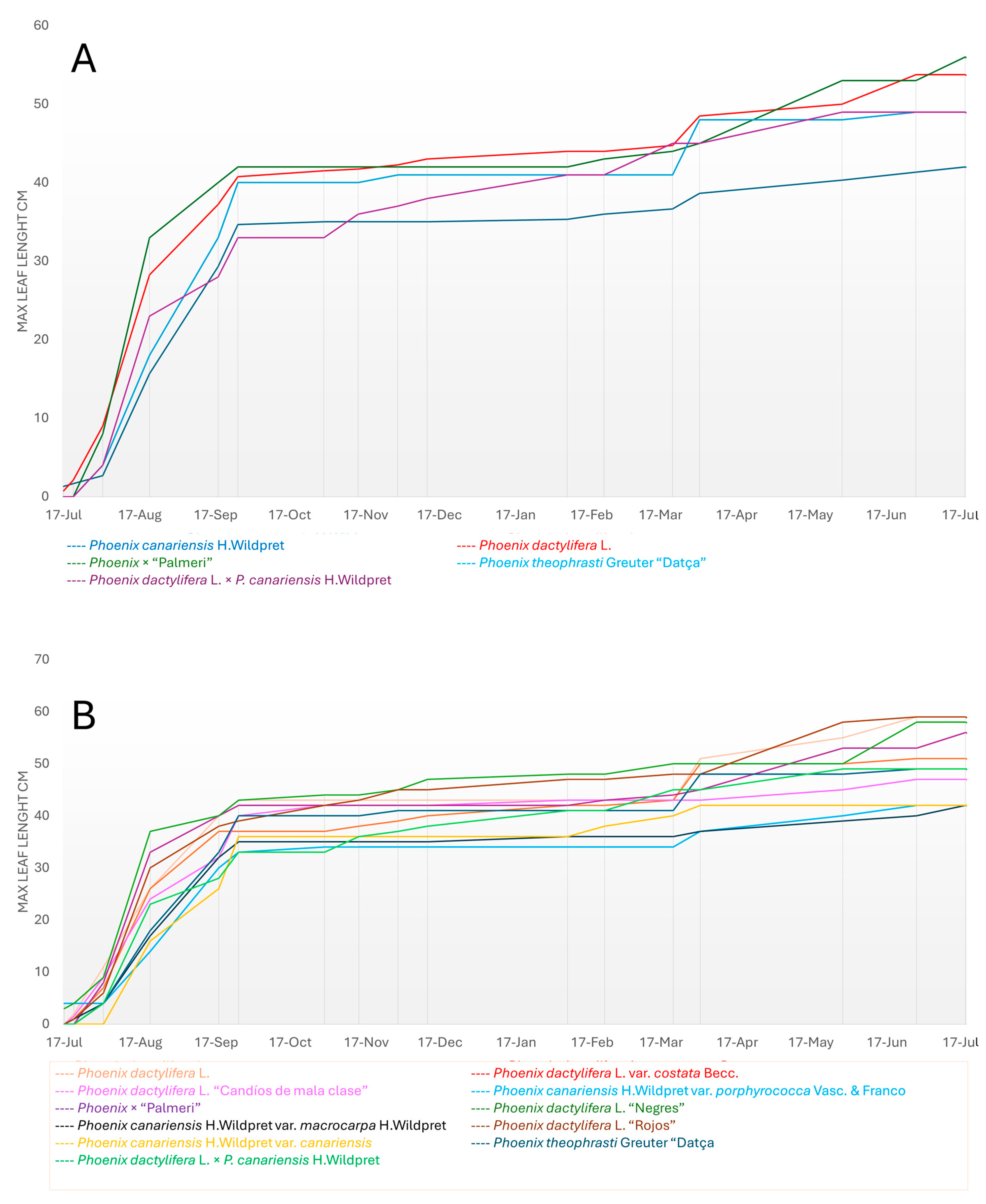 Horticulturae 11 00537 g008