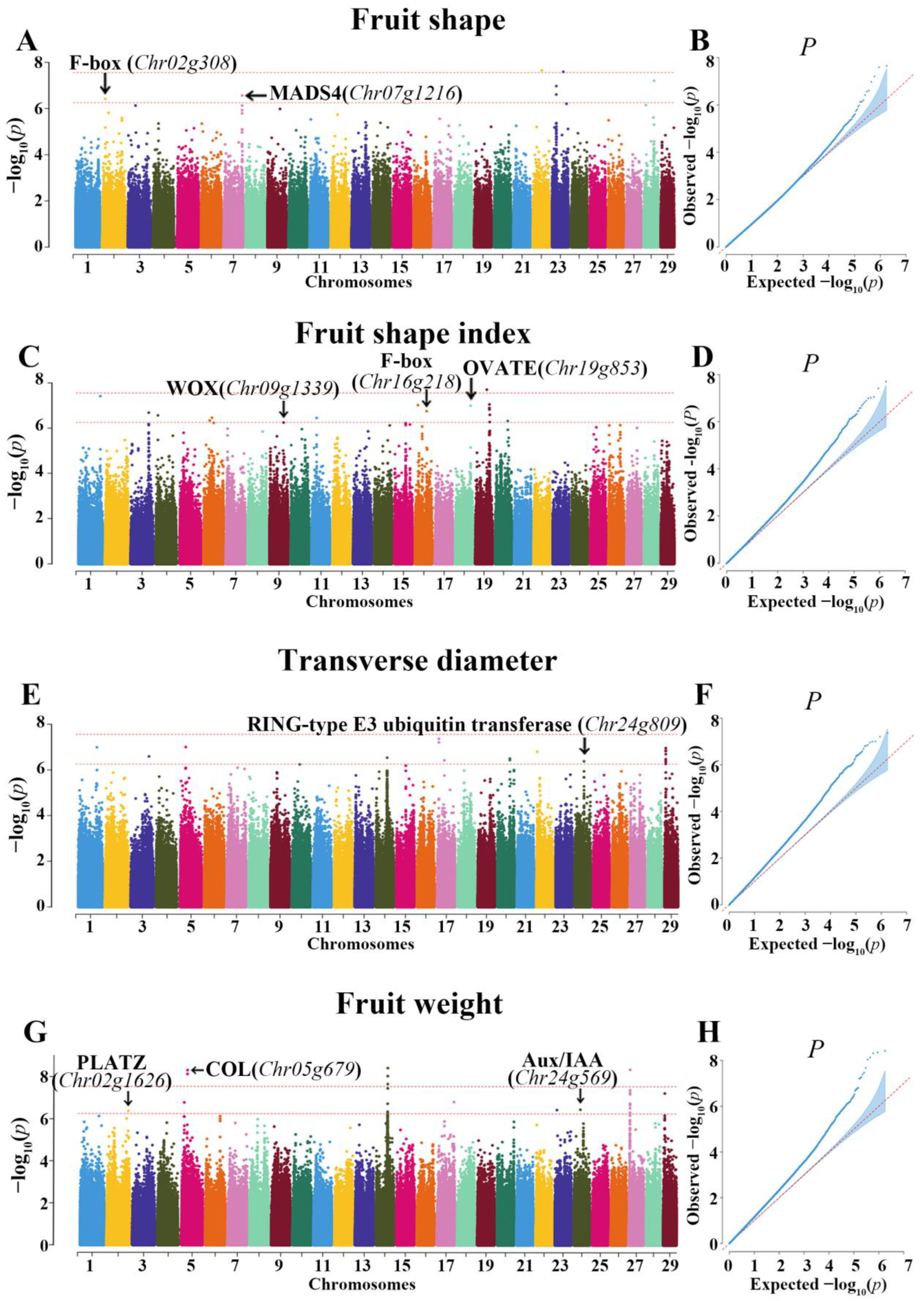 Horticulturae 11 00538 g004