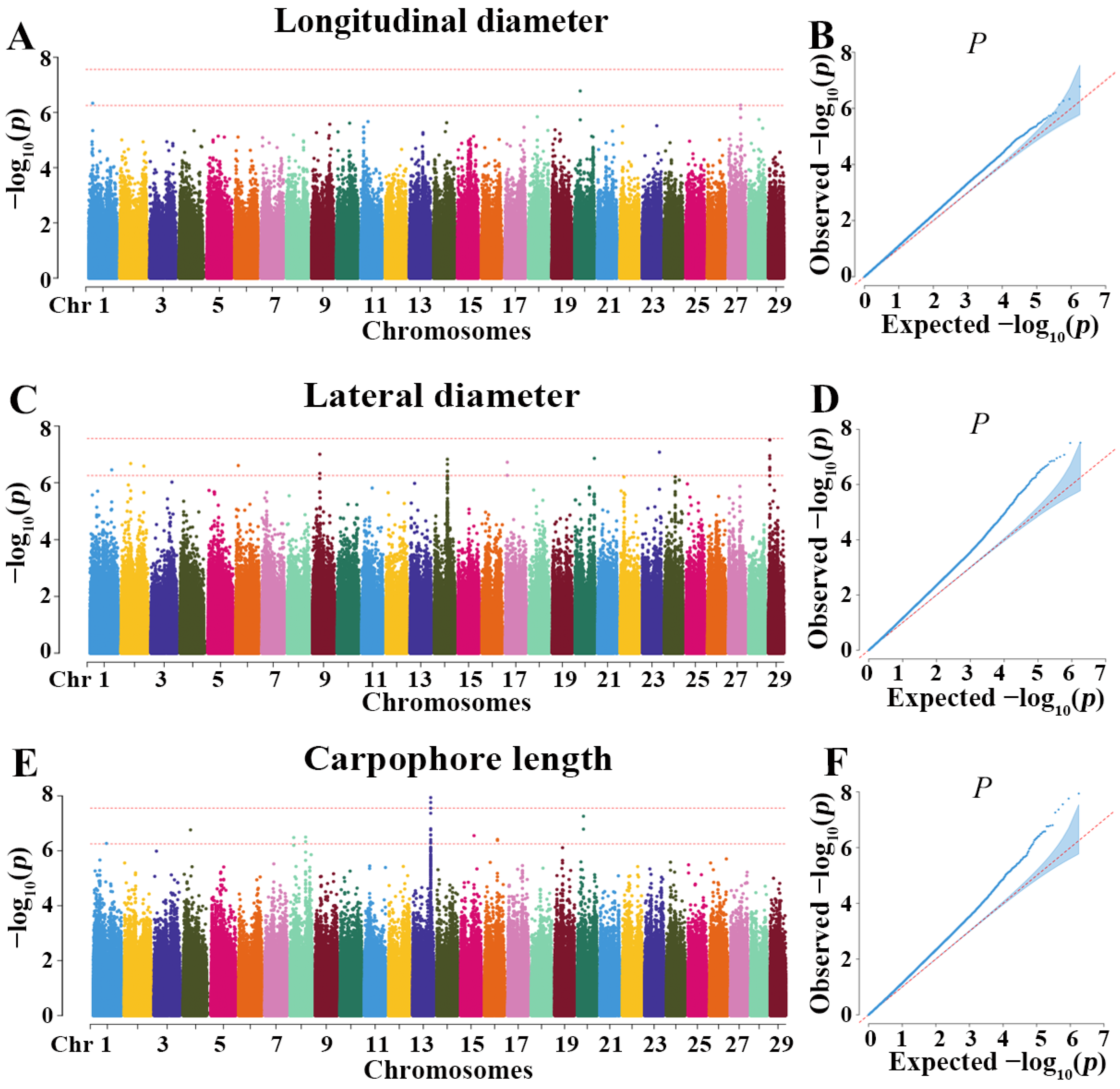 Horticulturae 11 00538 g005