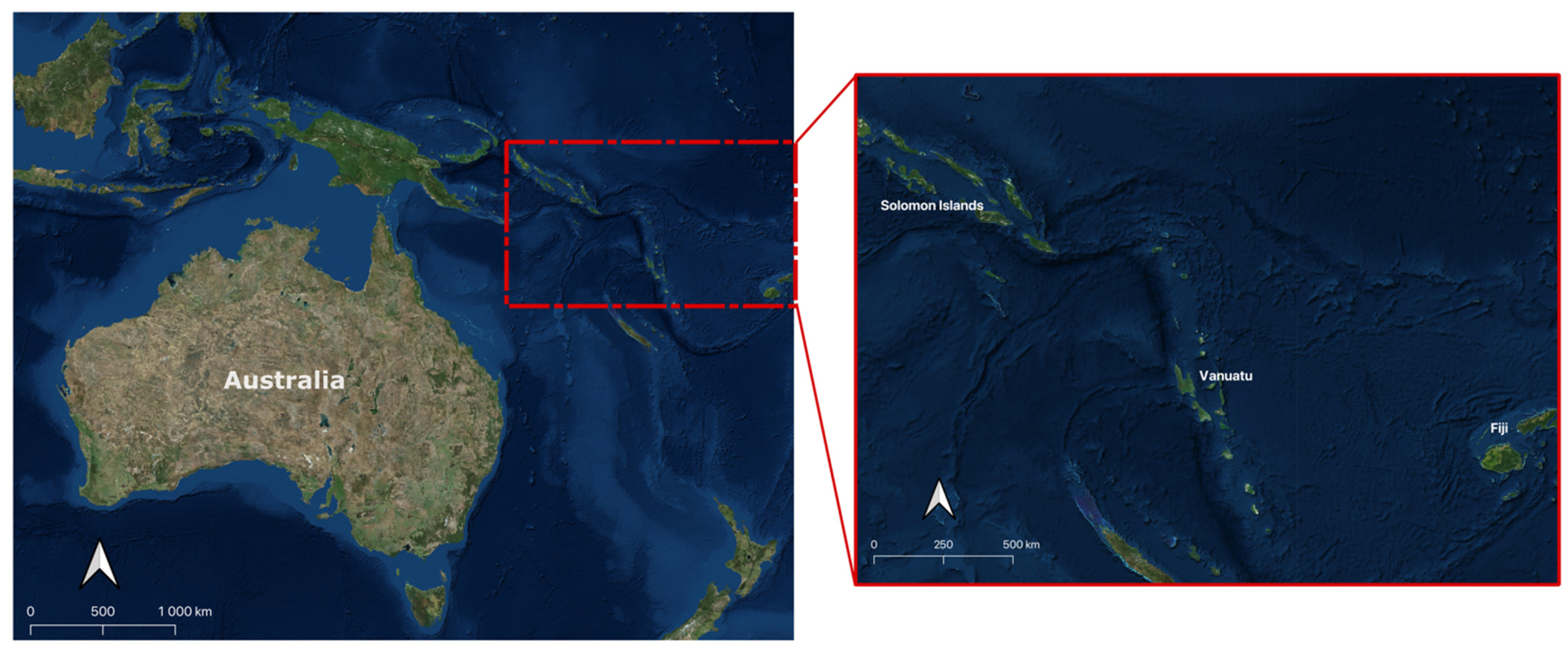 Horticulturae 11 00540 g002