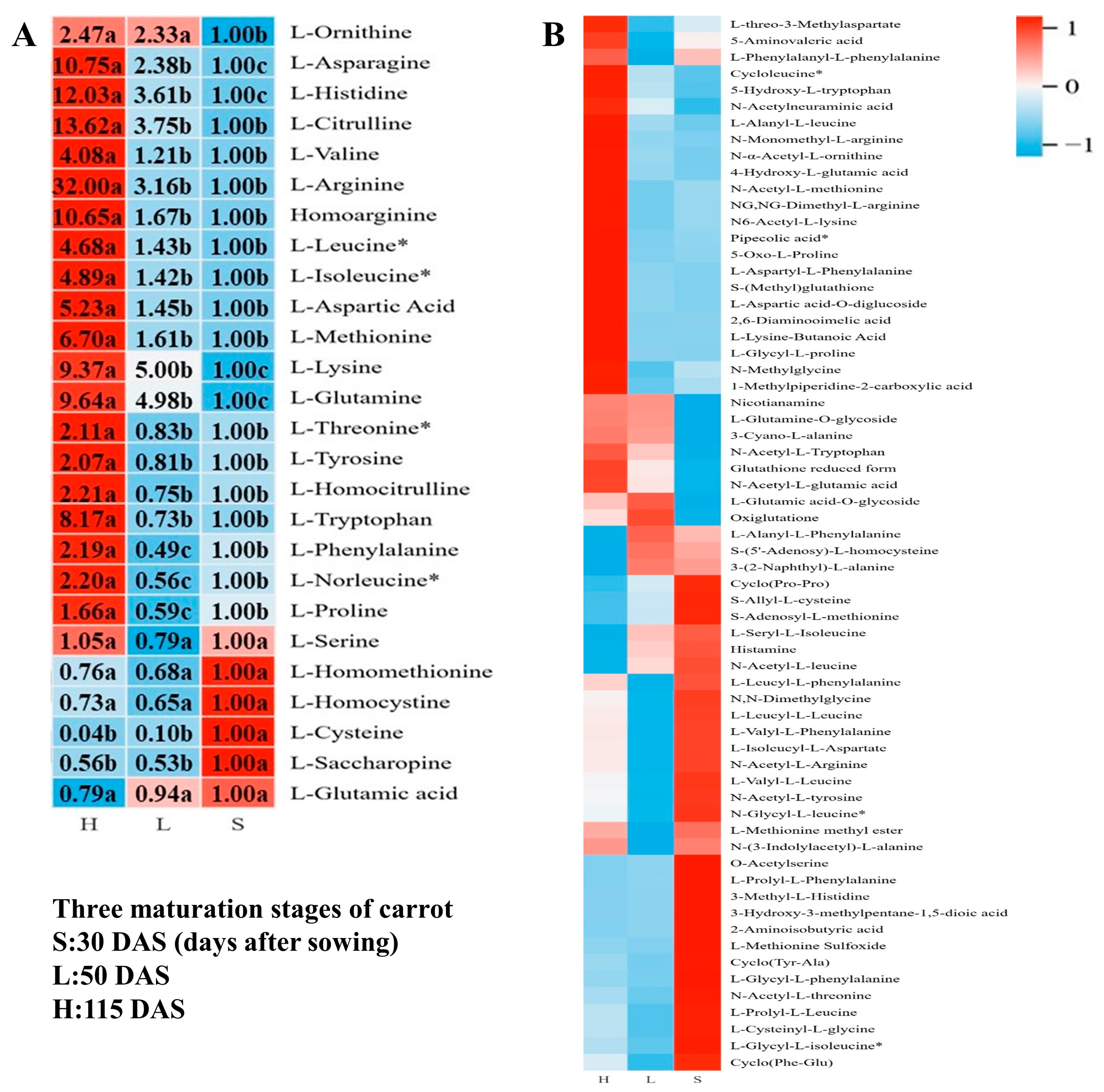 Horticulturae 11 00542 g005
