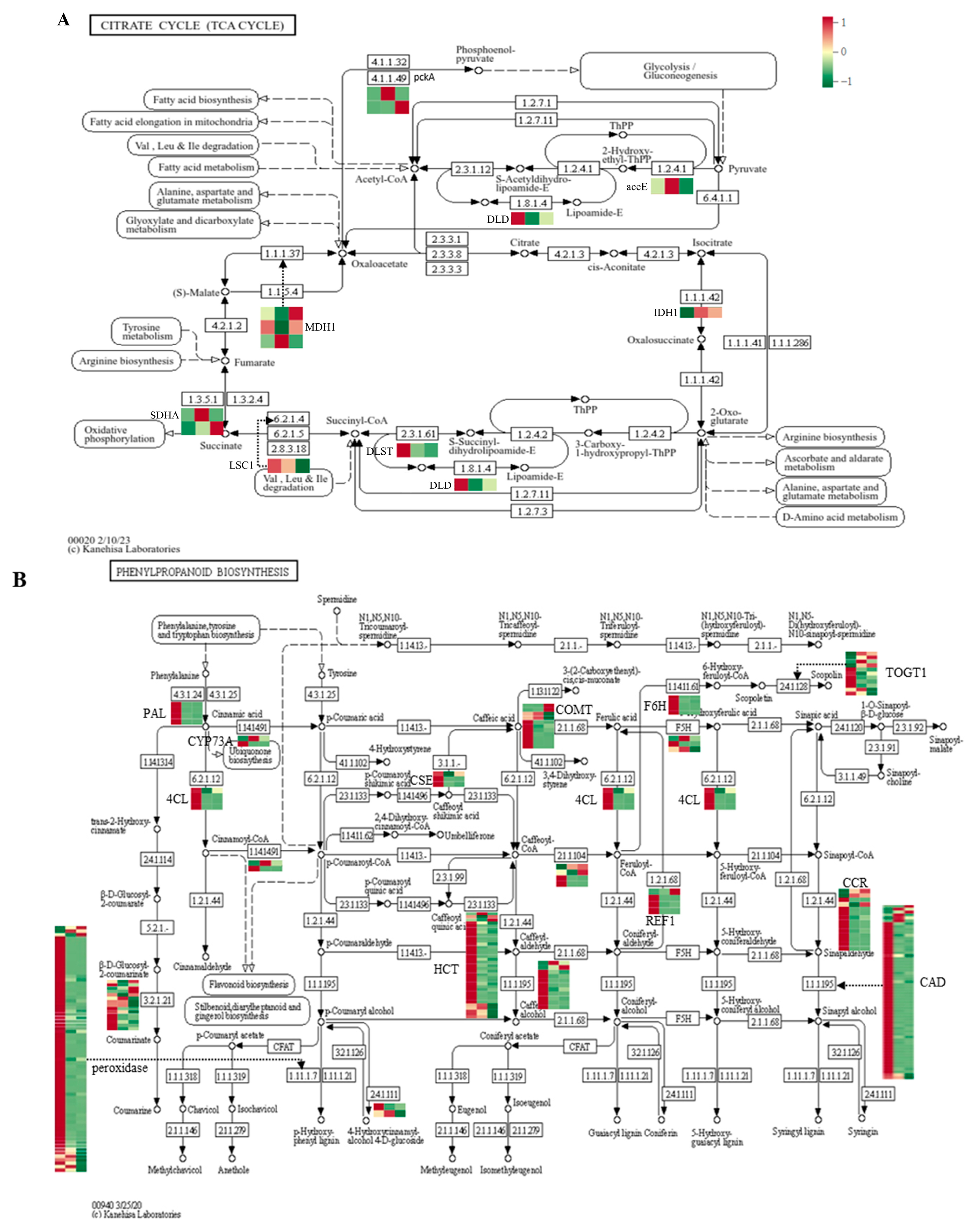 Horticulturae 11 00542 g012