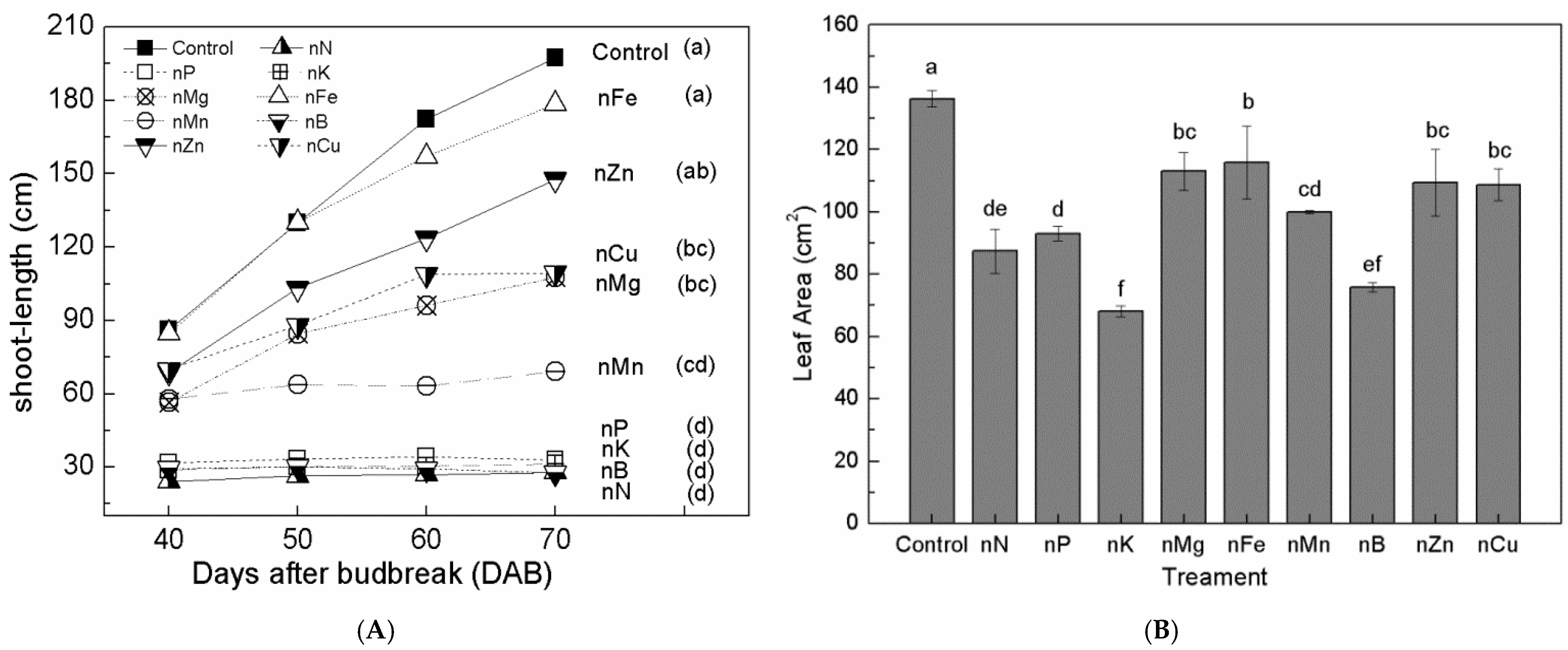 Horticulturae 11 00543 g002