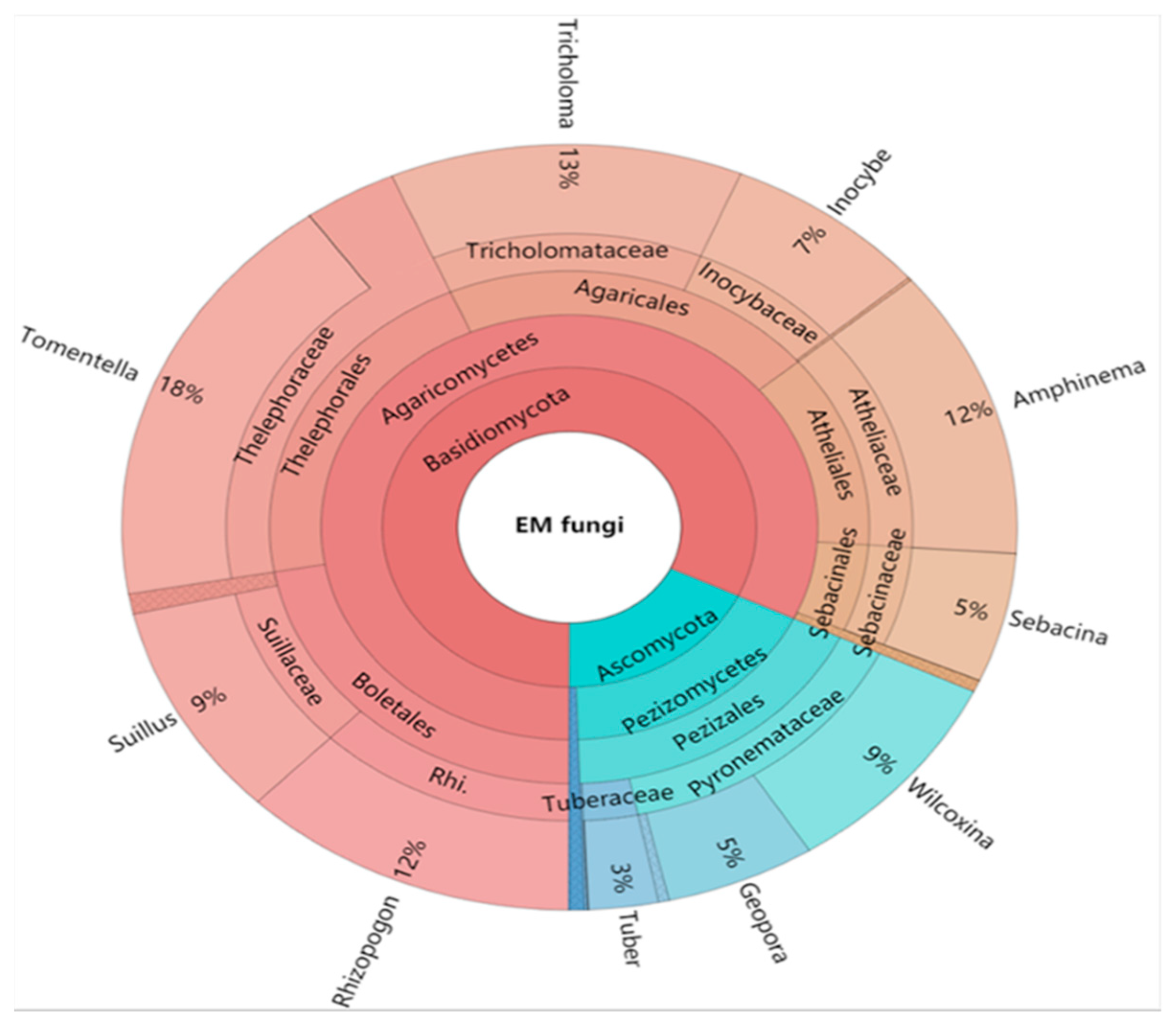 Horticulturae 11 00545 g003