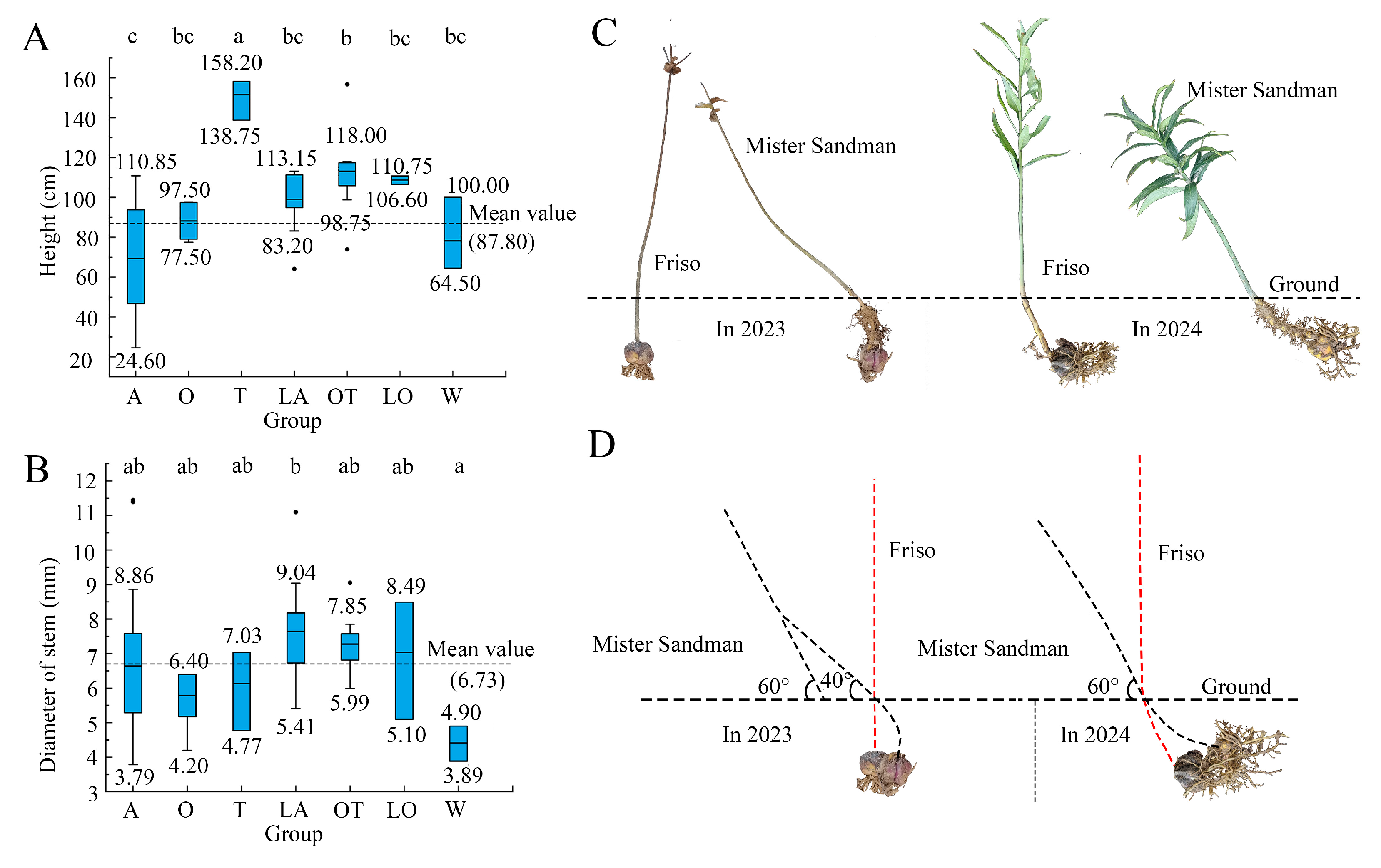 Horticulturae 11 00546 g002