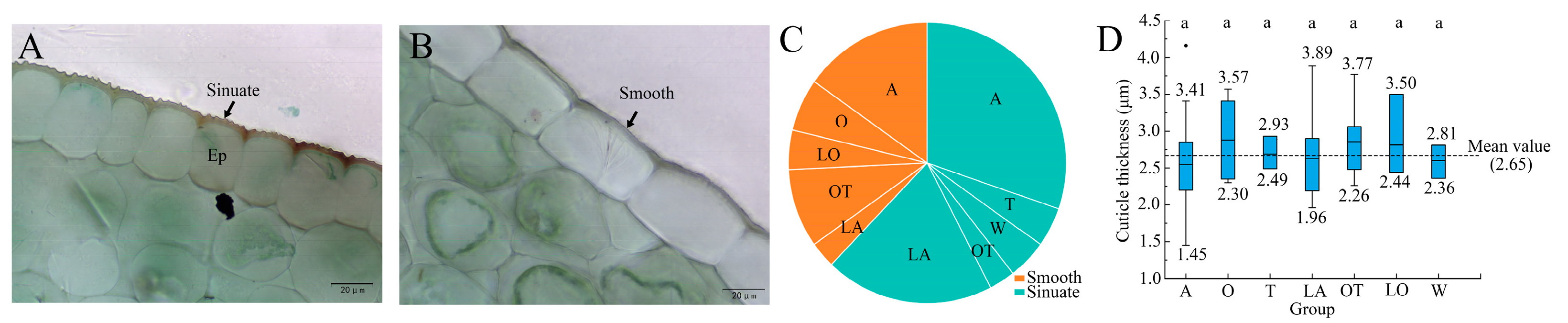 Horticulturae 11 00546 g004