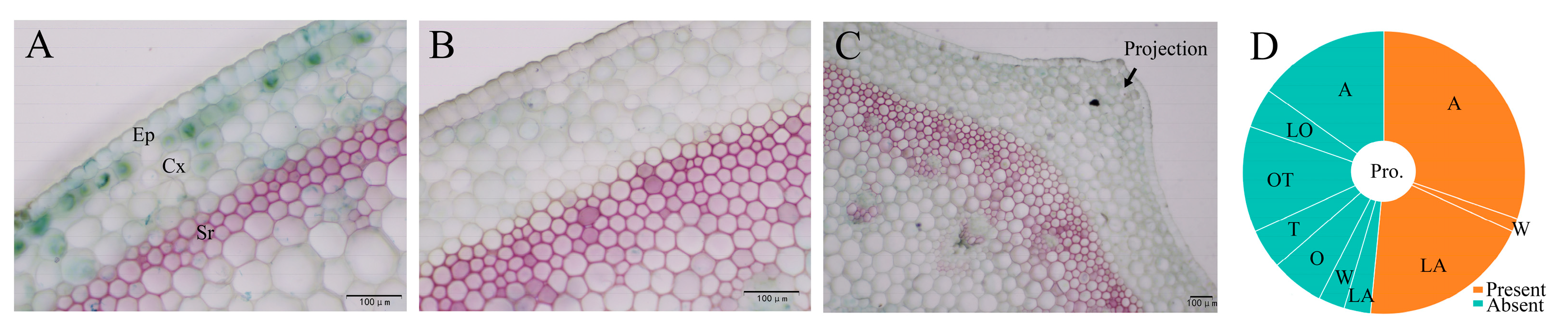 Horticulturae 11 00546 g008