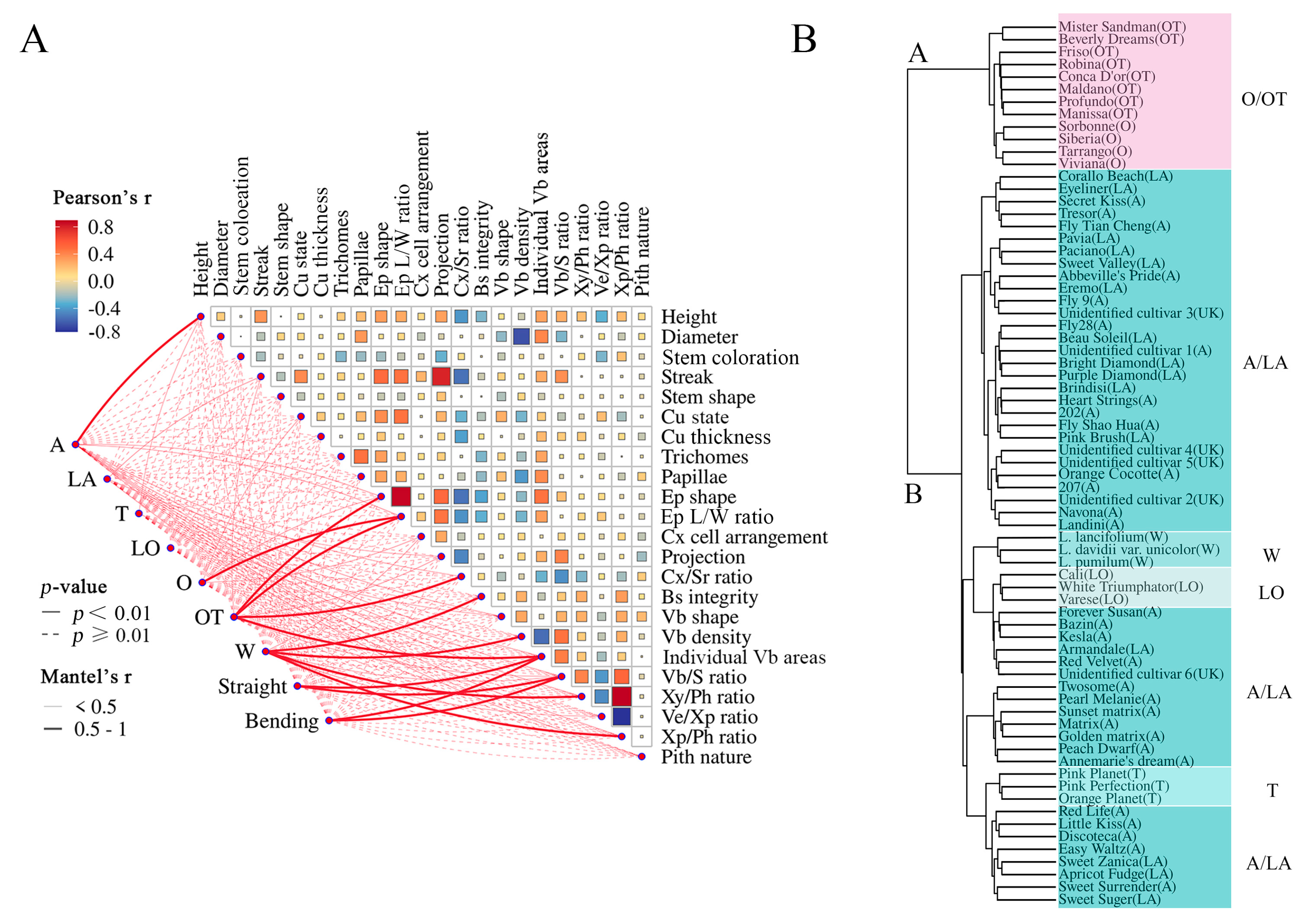 Horticulturae 11 00546 g014