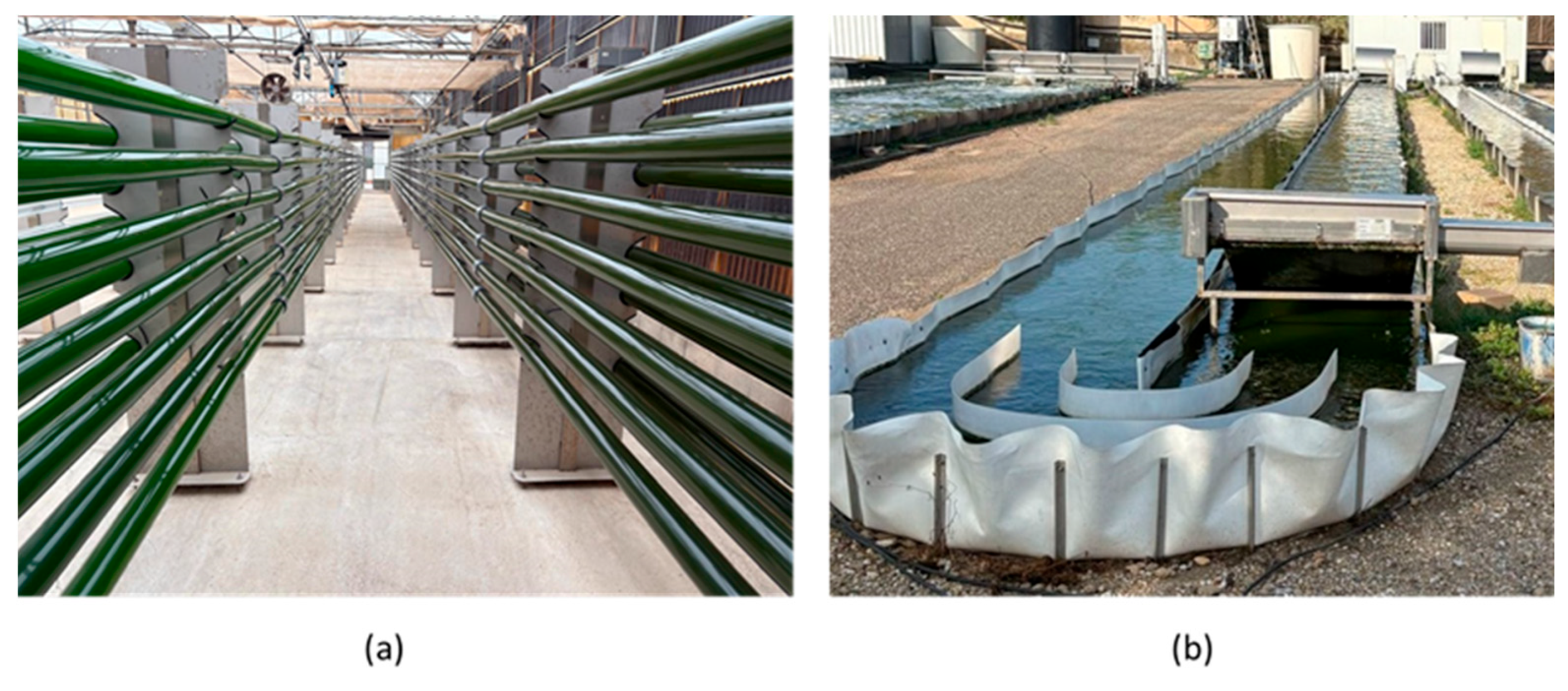 Horticulturae 11 00547 g001