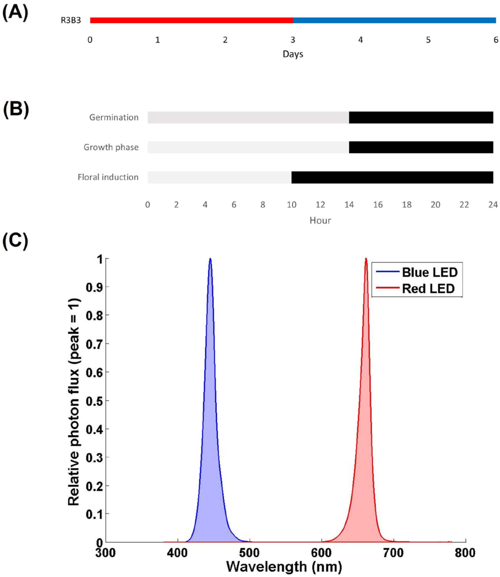 Horticulturae 11 00548 g002