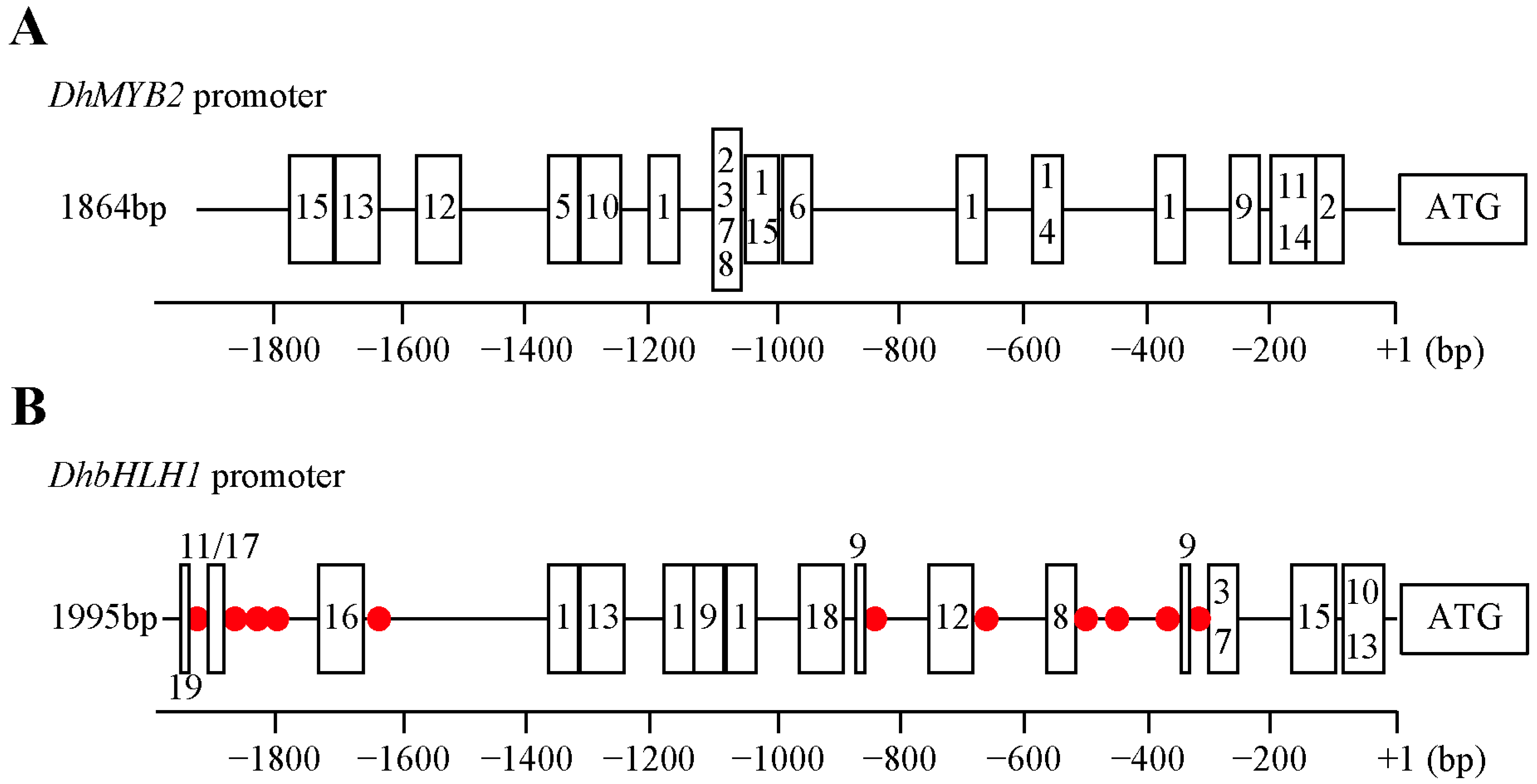 Horticulturae 11 00550 g002
