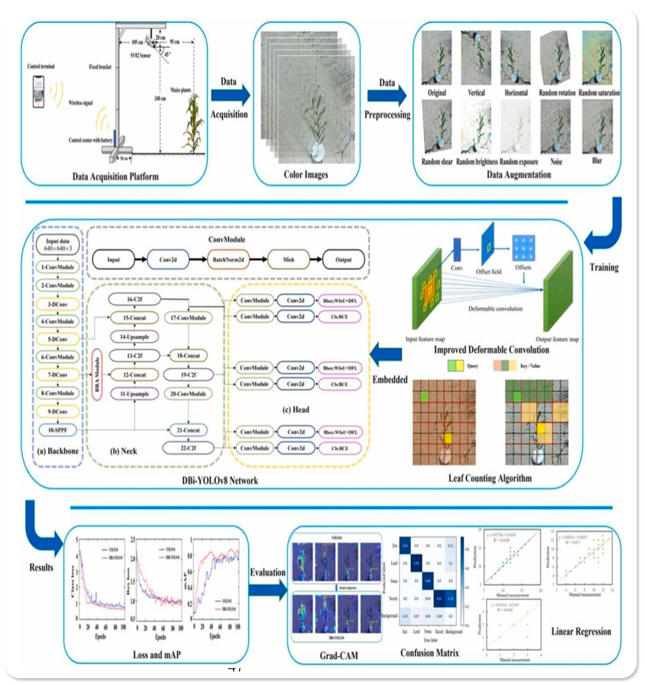 Horticulturae 11 00551 g002 Horticulturae 11 00551 g002