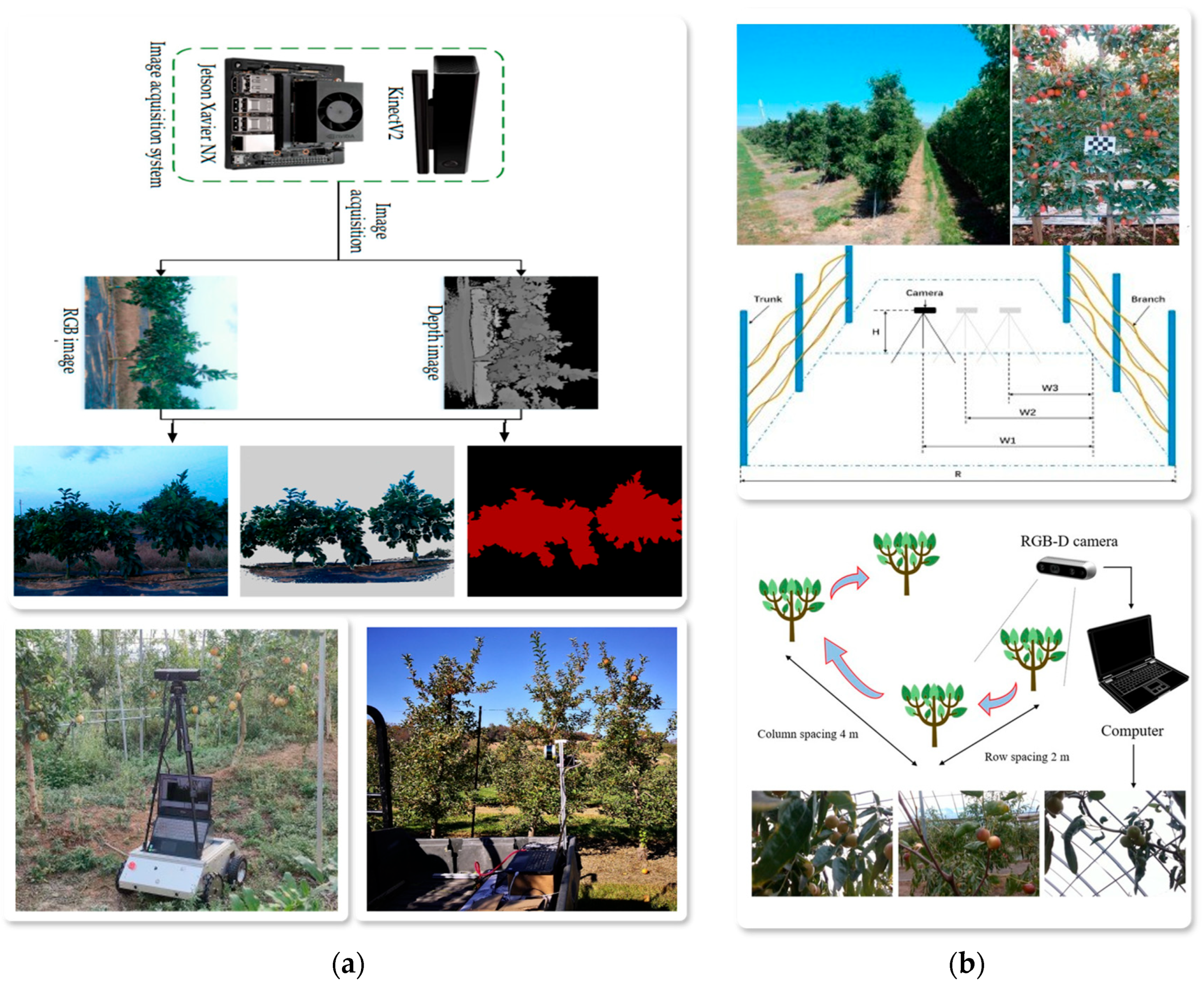 Horticulturae 11 00551 g005 Horticulturae 11 00551 g005