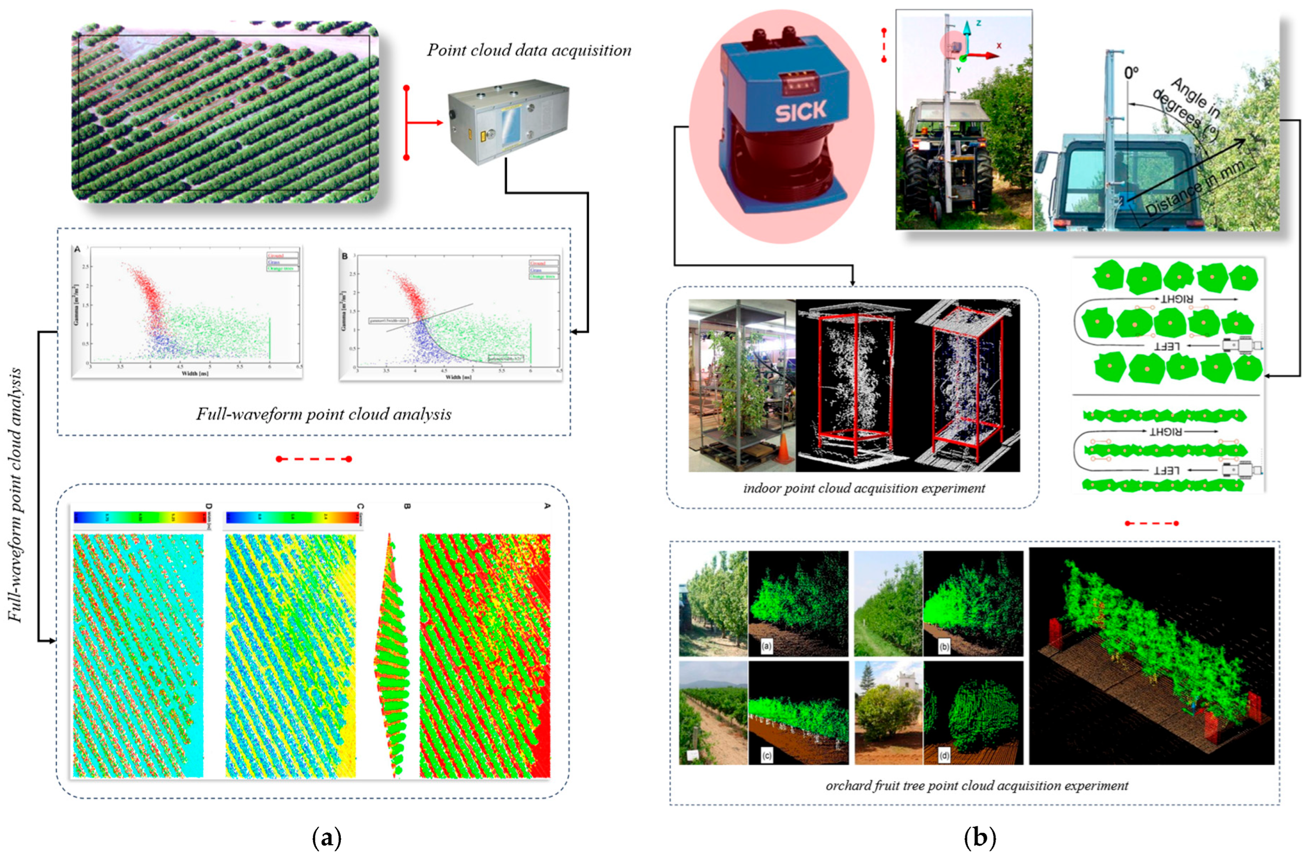 Horticulturae 11 00551 g007 Horticulturae 11 00551 g007