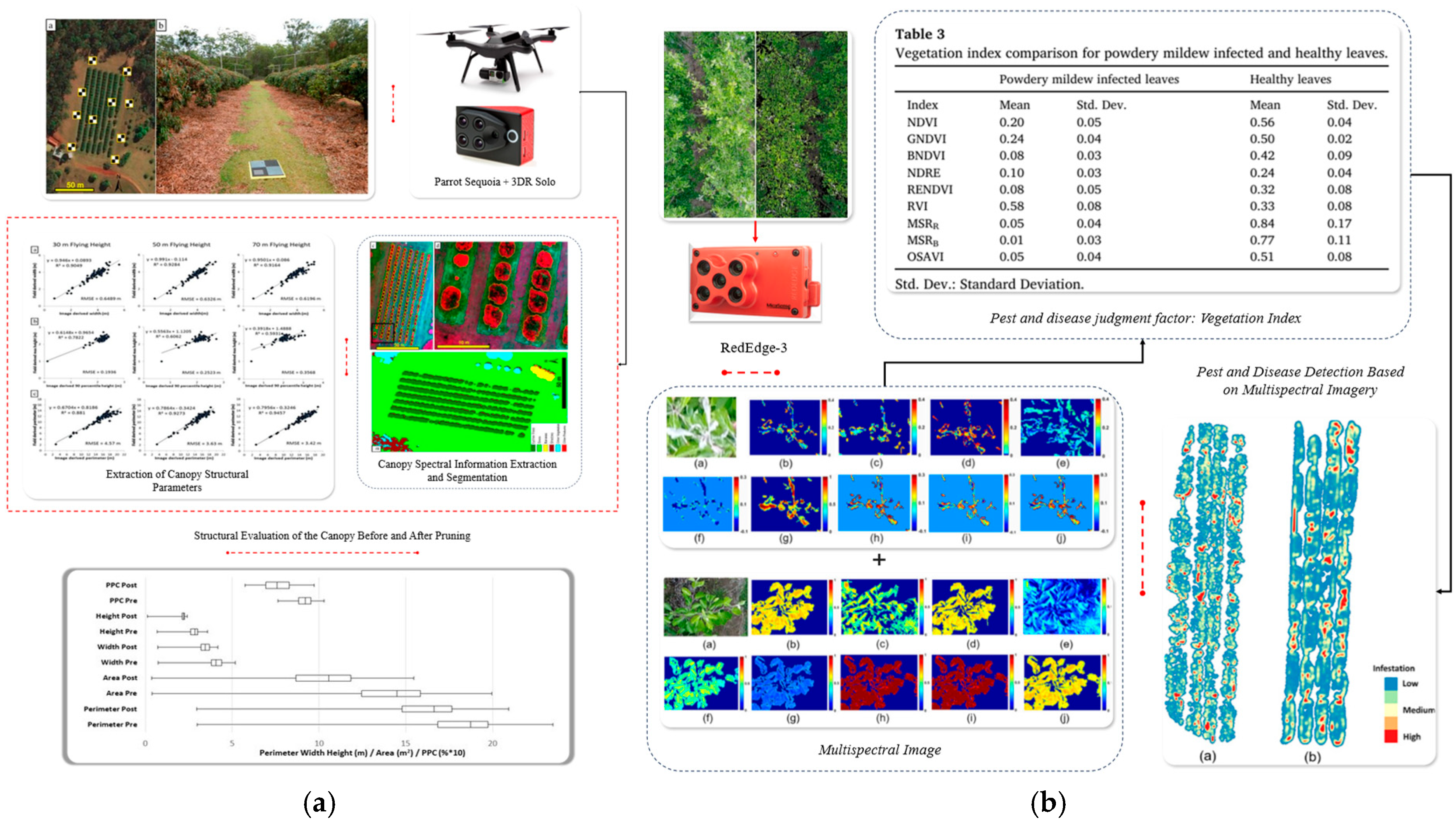 Horticulturae 11 00551 g009 Horticulturae 11 00551 g009