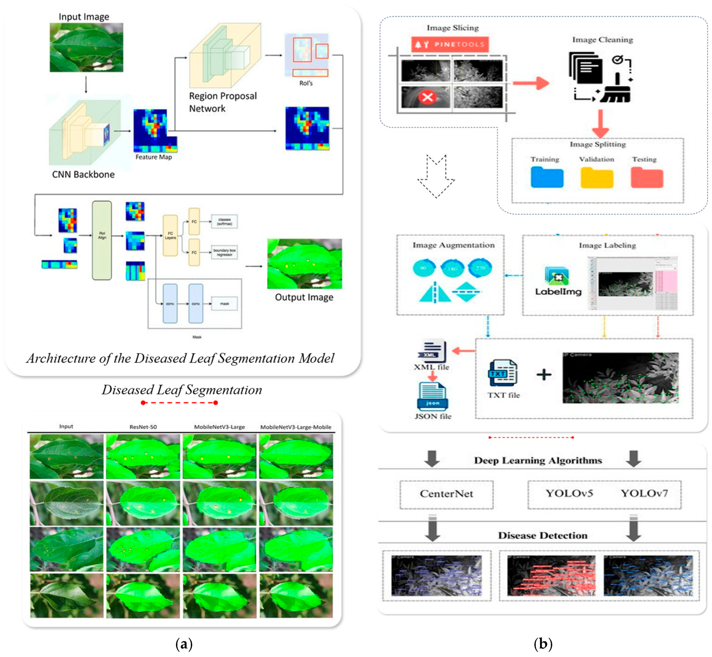 Horticulturae 11 00551 g017 Horticulturae 11 00551 g017