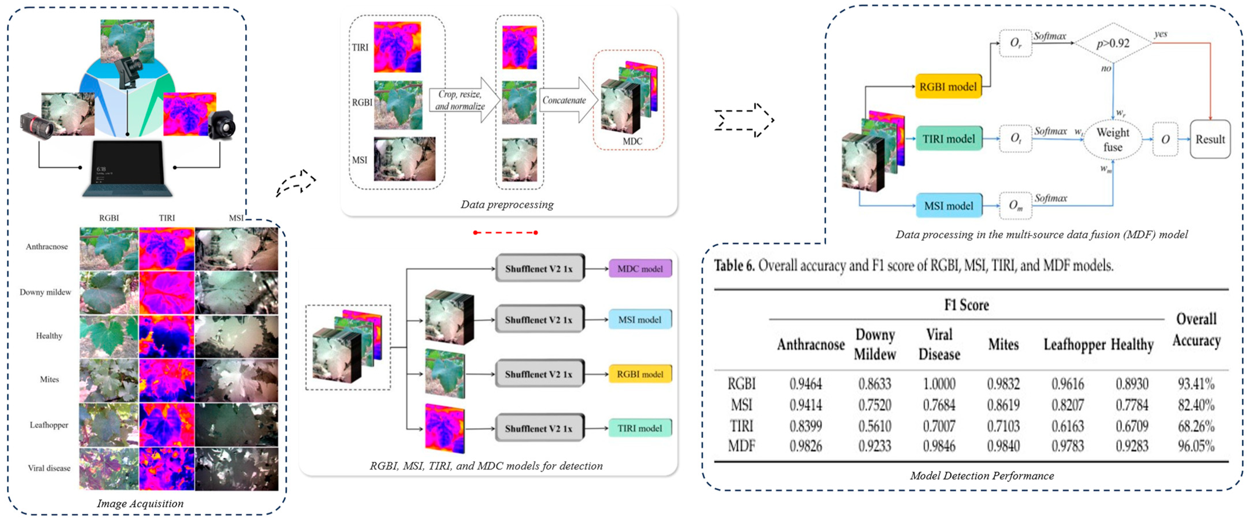 Horticulturae 11 00551 g019 Horticulturae 11 00551 g019