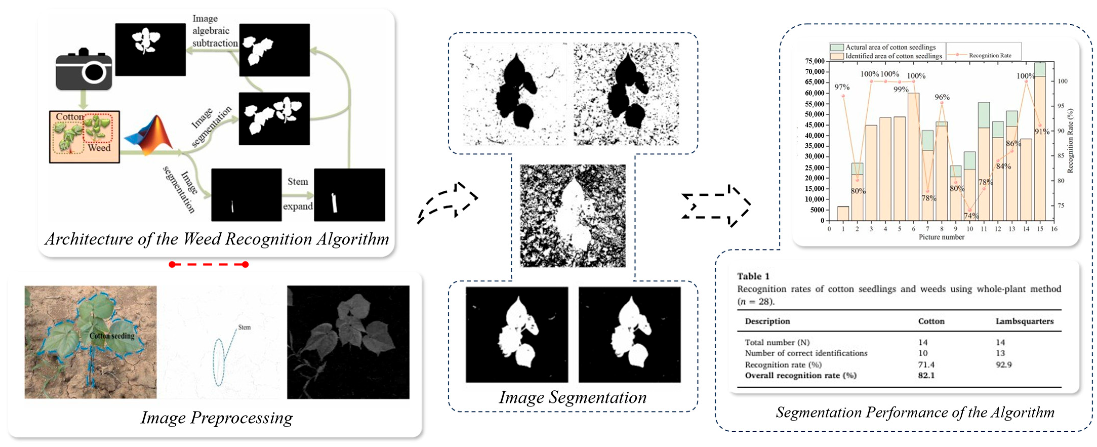 Horticulturae 11 00551 g020 Horticulturae 11 00551 g020