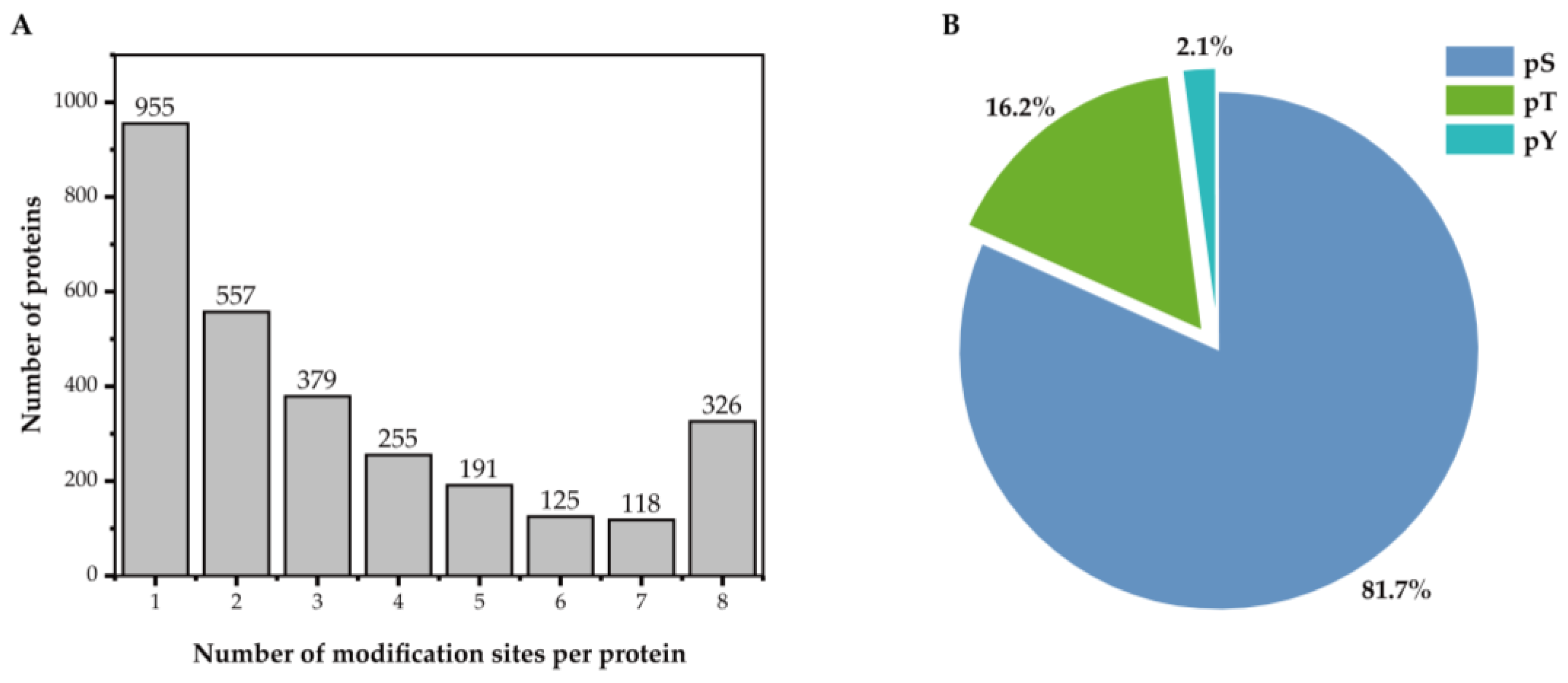 Horticulturae 11 00553 g002