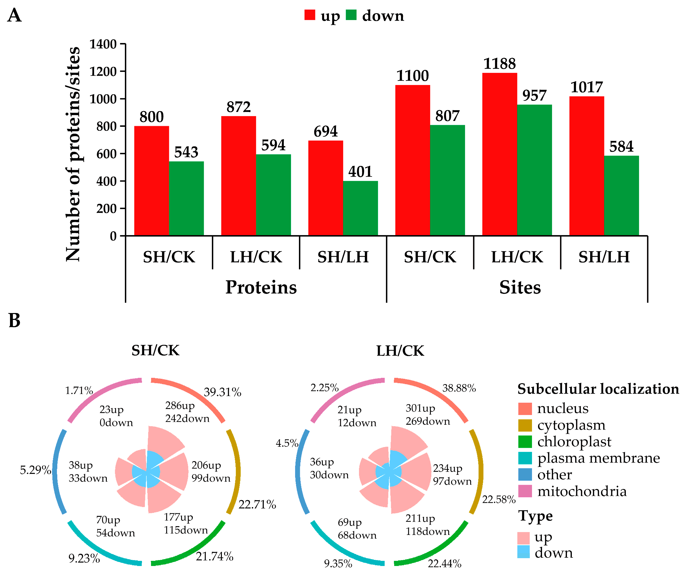 Horticulturae 11 00553 g003