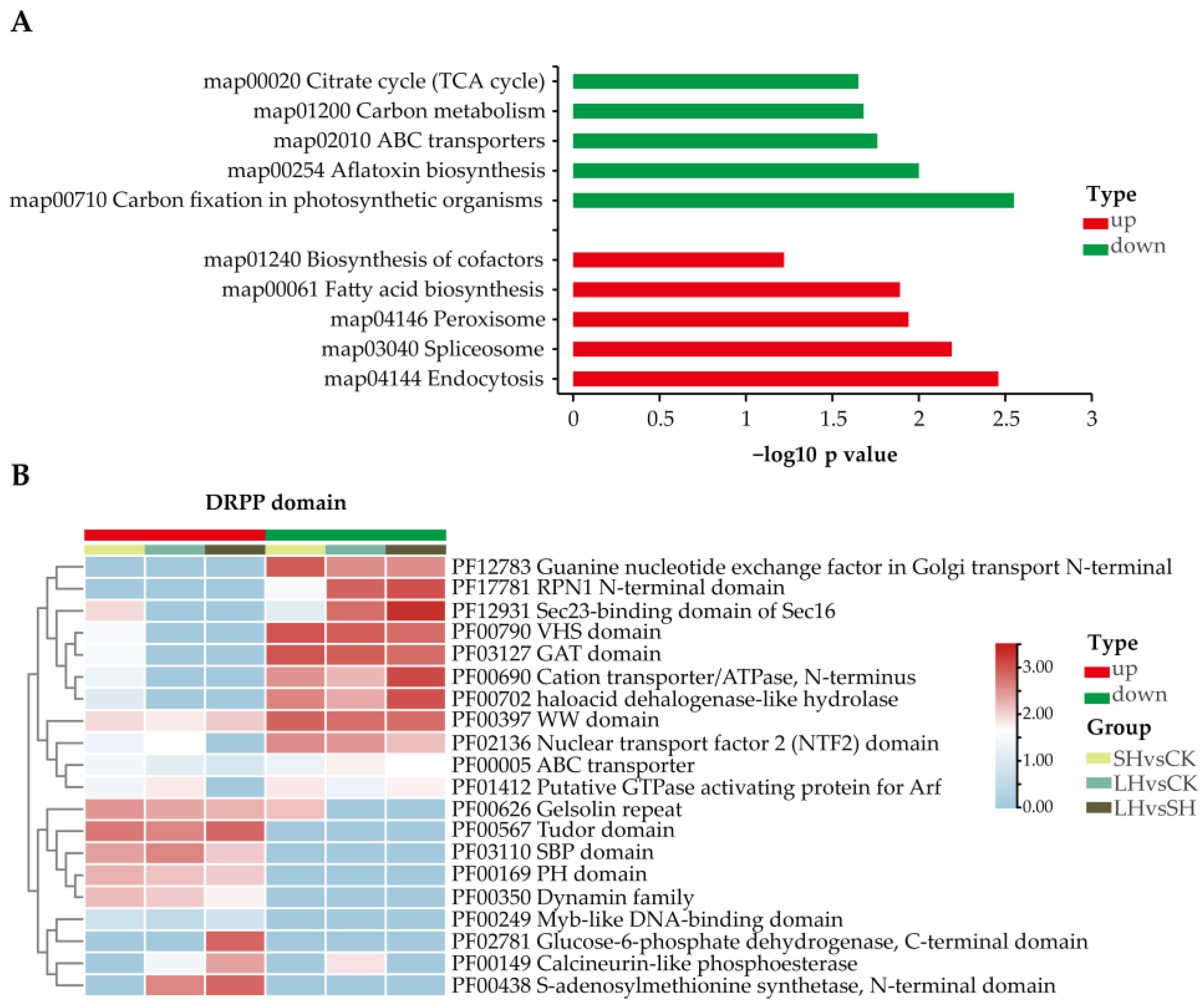 Horticulturae 11 00553 g004