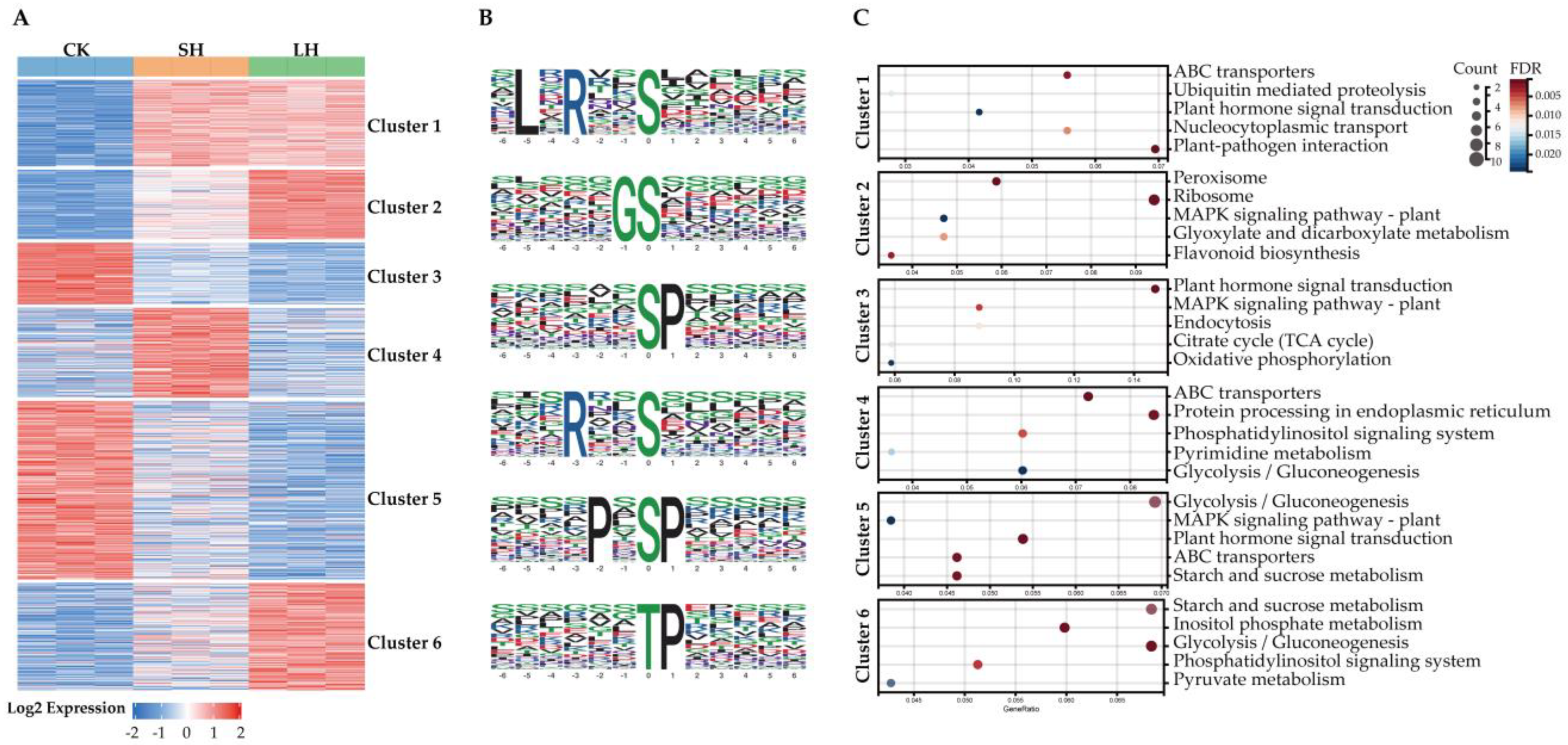 Horticulturae 11 00553 g005