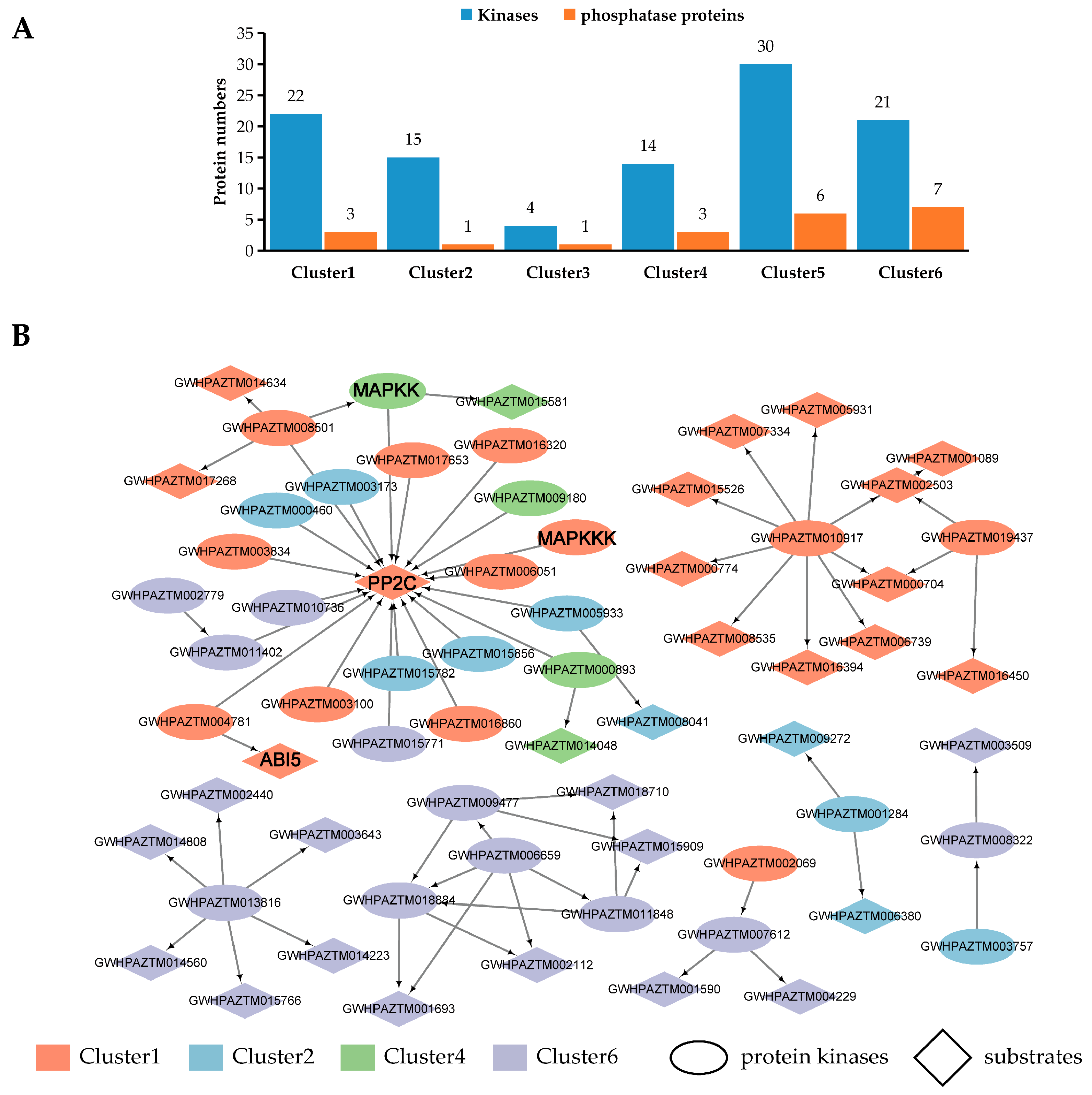 Horticulturae 11 00553 g006
