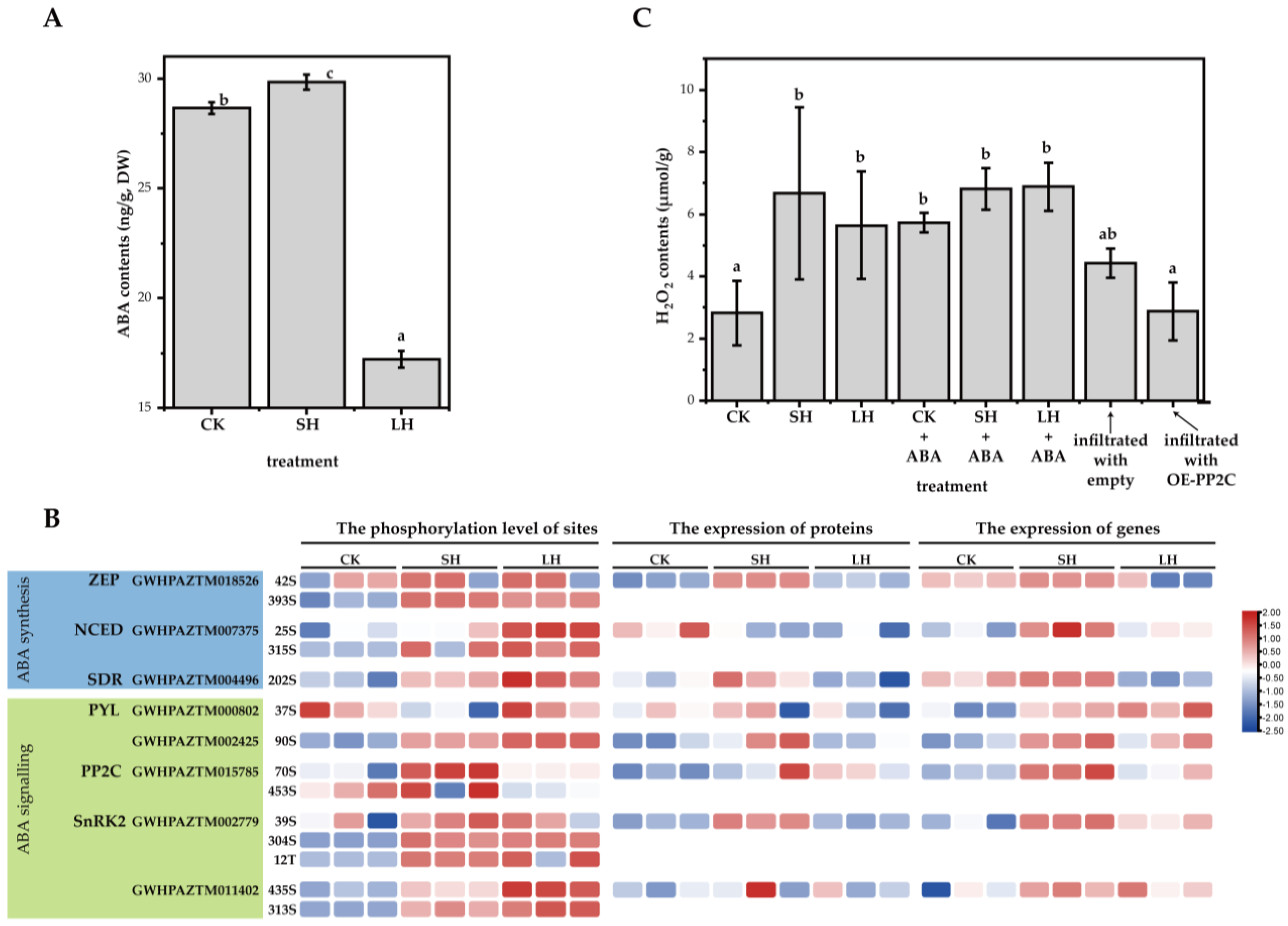 Horticulturae 11 00553 g007