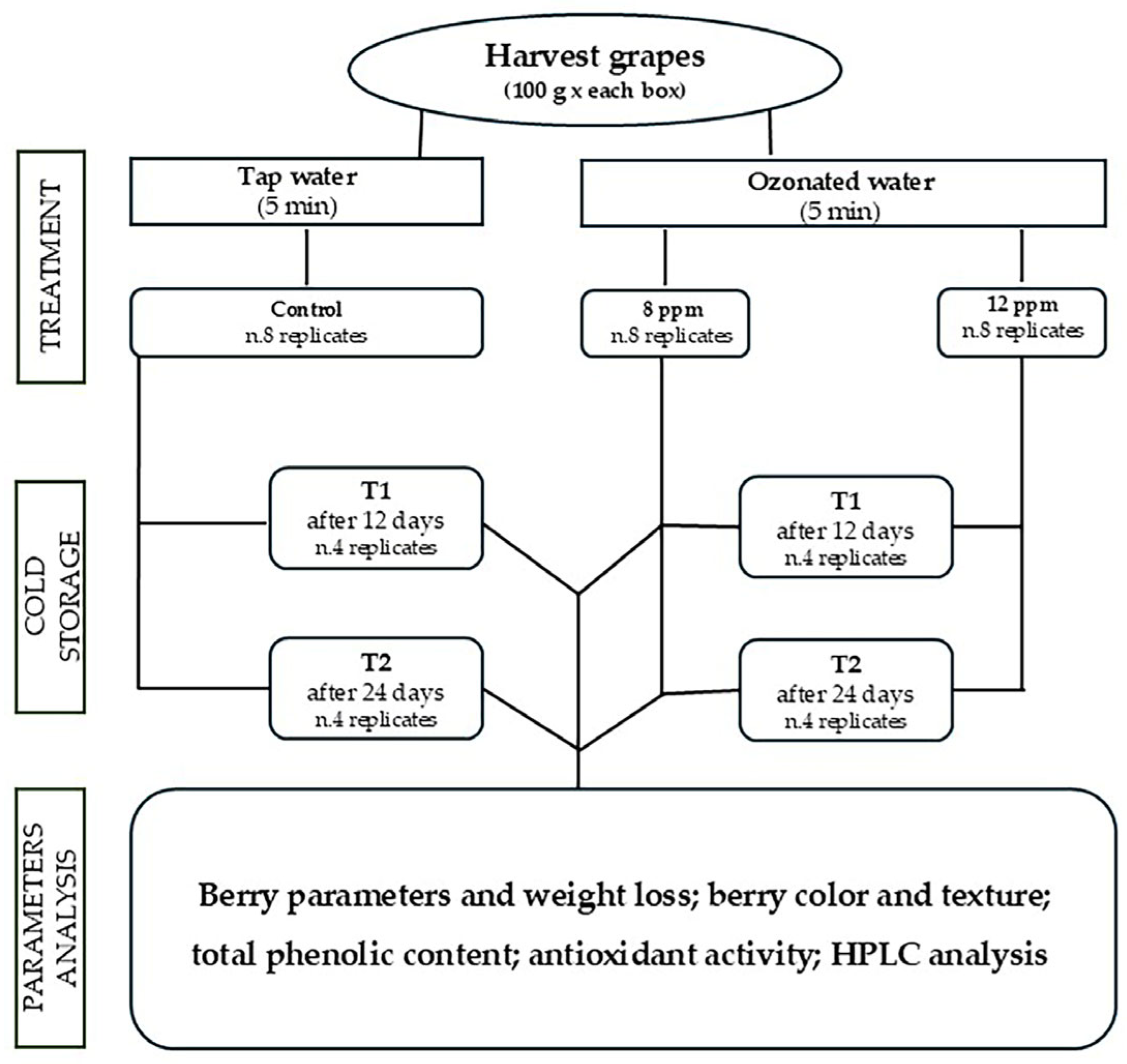 Horticulturae 11 00555 g001