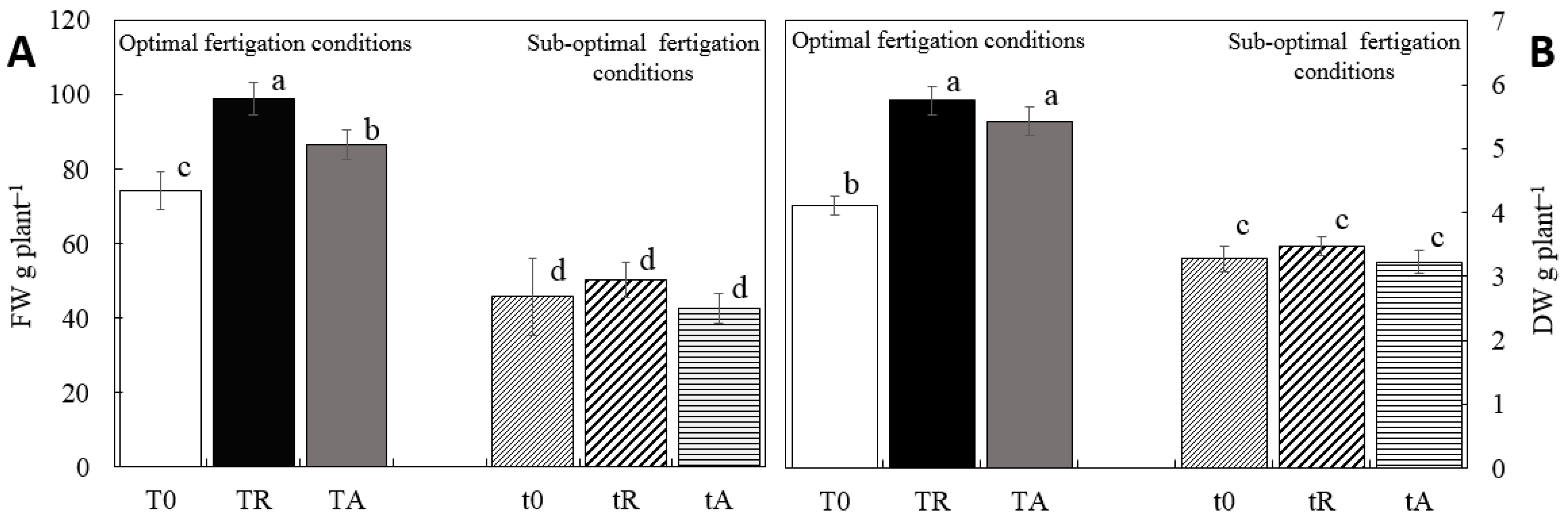 Horticulturae 11 00558 g002