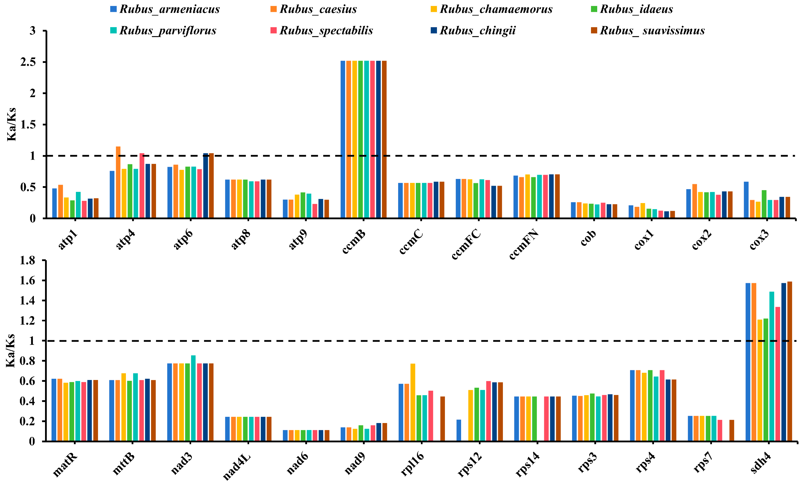 Horticulturae 11 00559 g003 Horticulturae 11 00559 g003